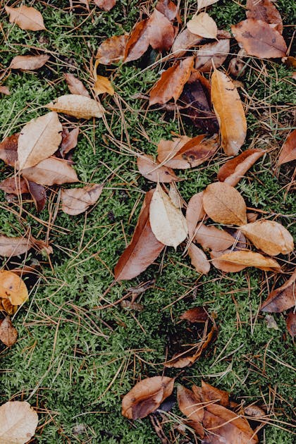 Anti Ribet! PLN Luncurkan Program Gelegar Swacam: Tambah Daya Listrik Semudah Jepret Hape!