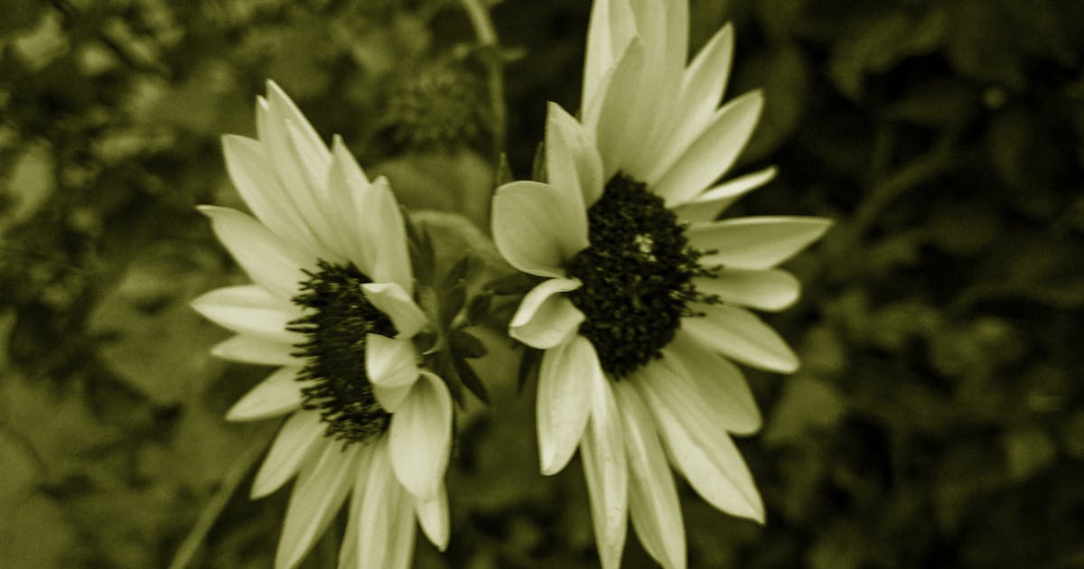 MIND ID: Mengukir Masa Depan Ekonomi Indonesia Melalui Hilirisasi Pertambangan Berkelanjutan