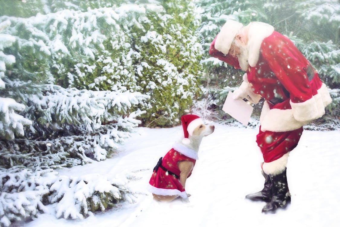 Mengapa Banjir dan Longsor Sumatra Belum Ditetapkan Bencana Nasional? BNPB Beri Penjelasan Lengkap!