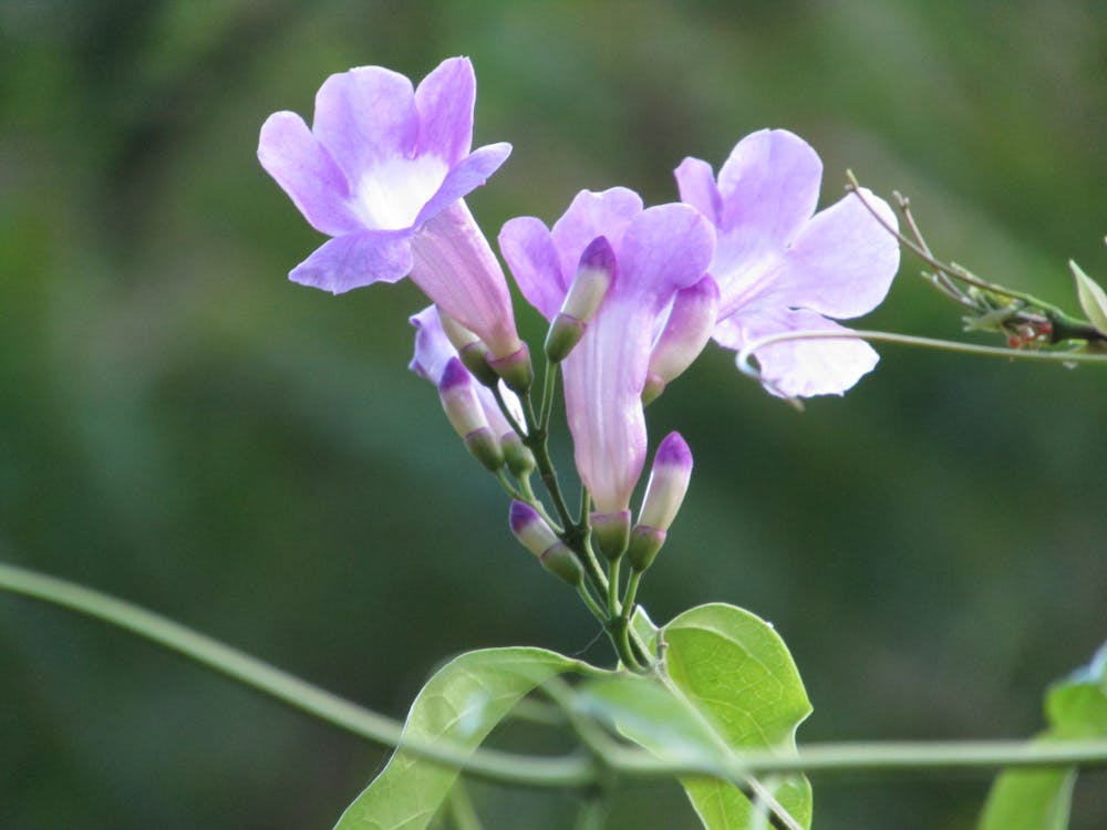 Detik-detik Mencekam di Balik Ledakan SMAN 72: Kesaksian Langsung yang Menggemparkan!