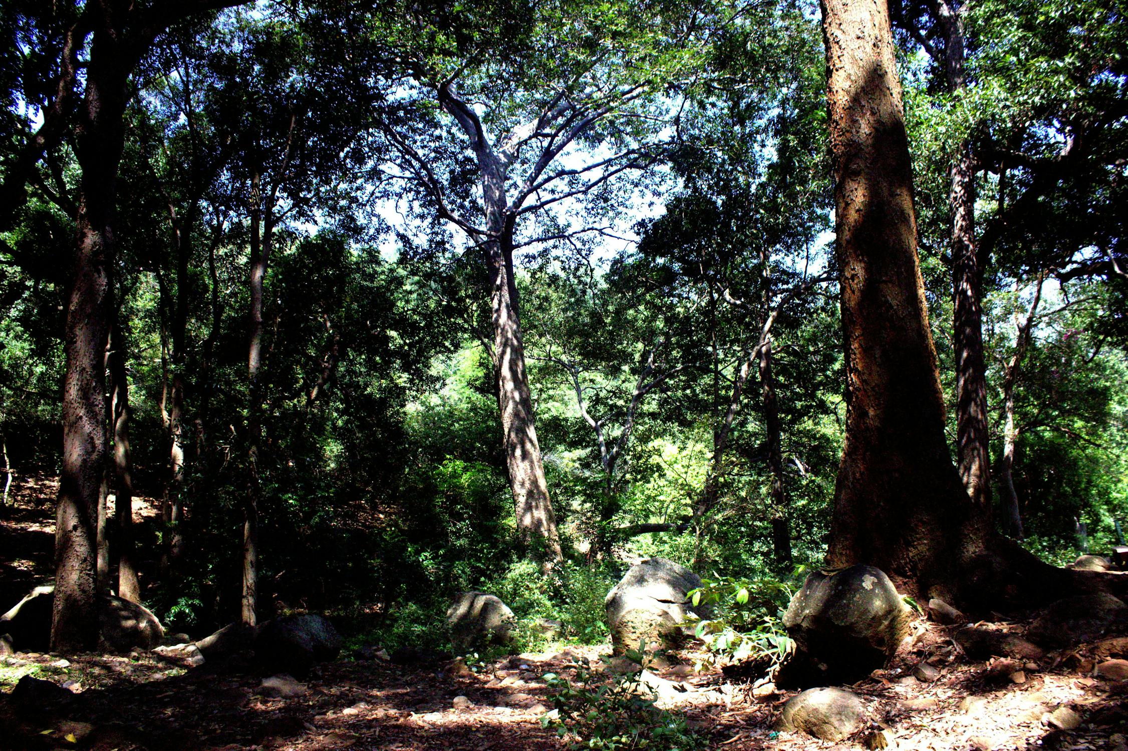 Jakarta Darurat Obesitas? PSI Desak Pemprov DKI Bertindak Serius!