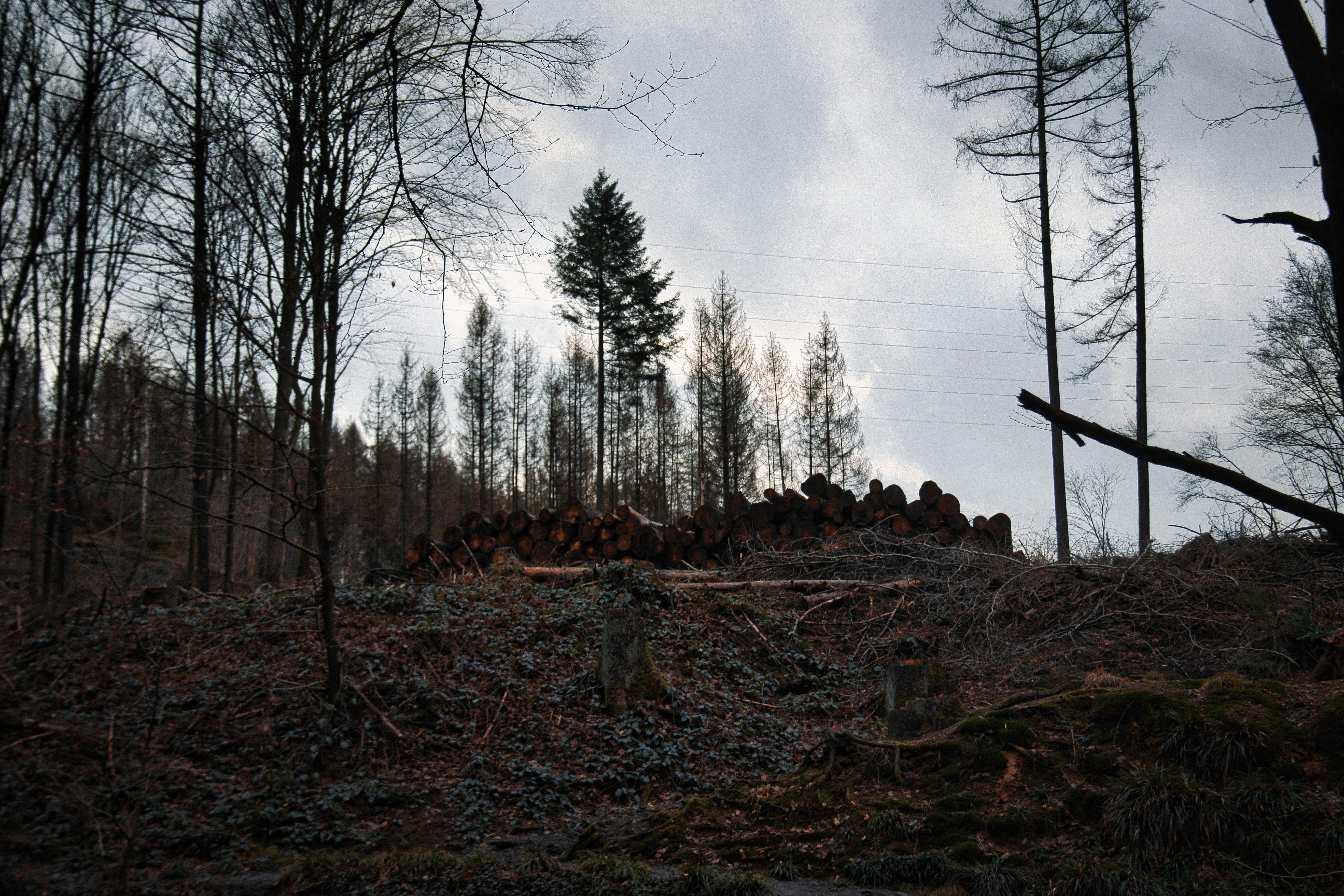 Geger Pemakzulan Ketum PBNU Yahya Staquf: Badai Menerjang Nahdlatul Ulama, Bagaimana Sikap Pengurus Wilayah?