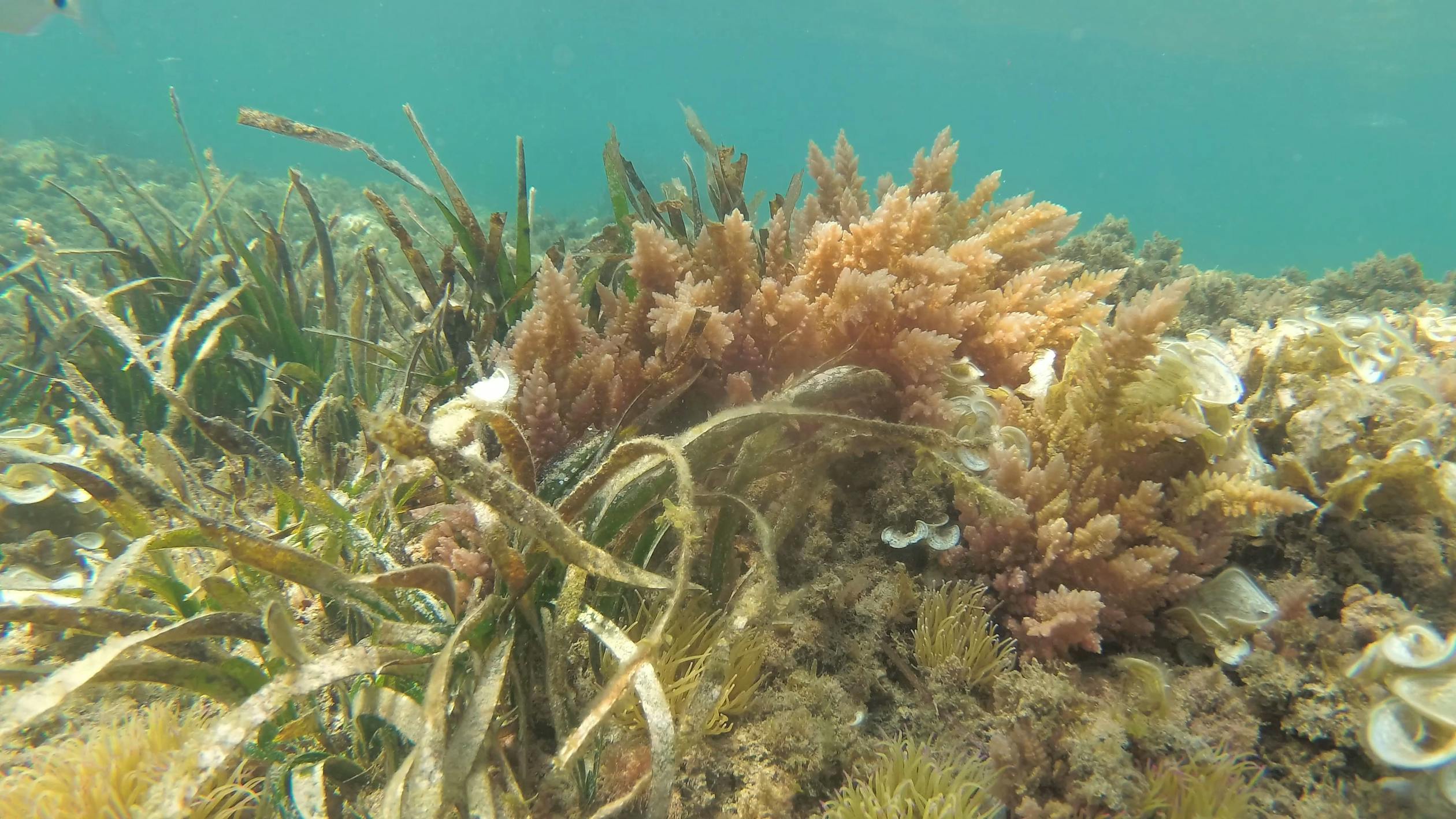 SBY Ungkap Pesan Spiritual Try Sutrisno: Lebih Dekat kepada Tuhan Setelah Tak Lagi Berkuasa – Pelajaran untuk Kita Semua