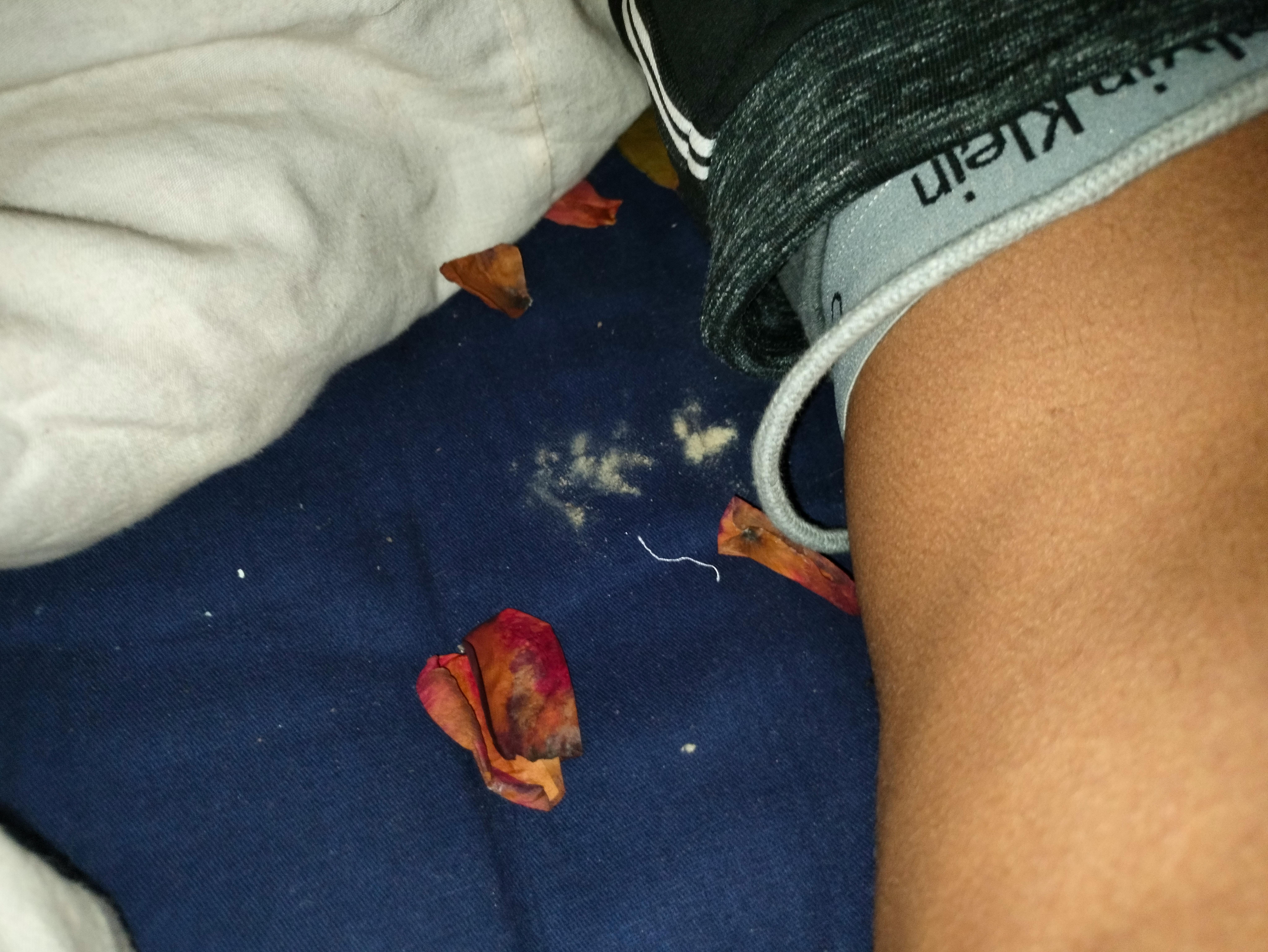 Badai Hukum Tak Gentar! Ripple Meroket ke Valuasi $40 Miliar: Apa Rahasia di Baliknya?