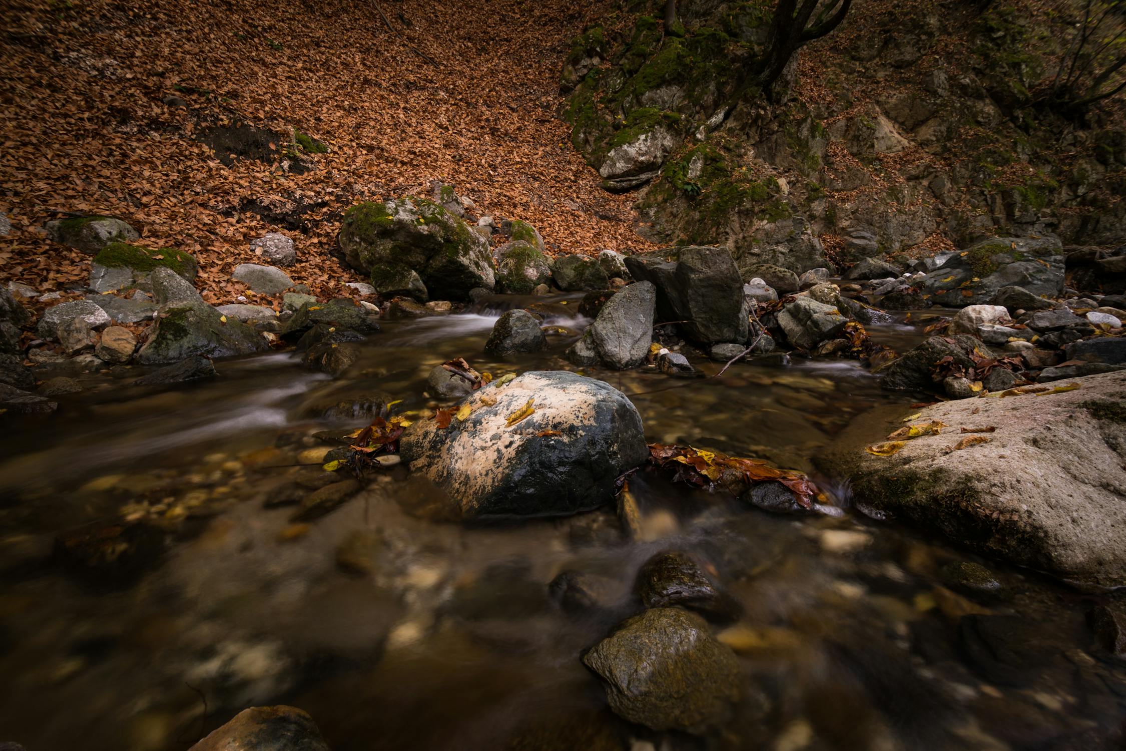 Dari Gerakan Kecil di Desa, Lahir Kemandirian Perempuan dan Kekuatan Ekonomi Keluarga
