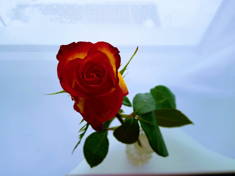 Akhiri Debat! BPKN Pastikan Aqua Murni dari Sumber Air Pegunungan, Proses Teruji Sesuai Regulasi