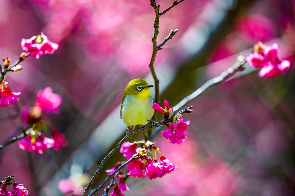 Ketika Rock Star Membiayai Cawan Suci: Kisah Gila di Balik Pendanaan Monty Python and The Holy Grail