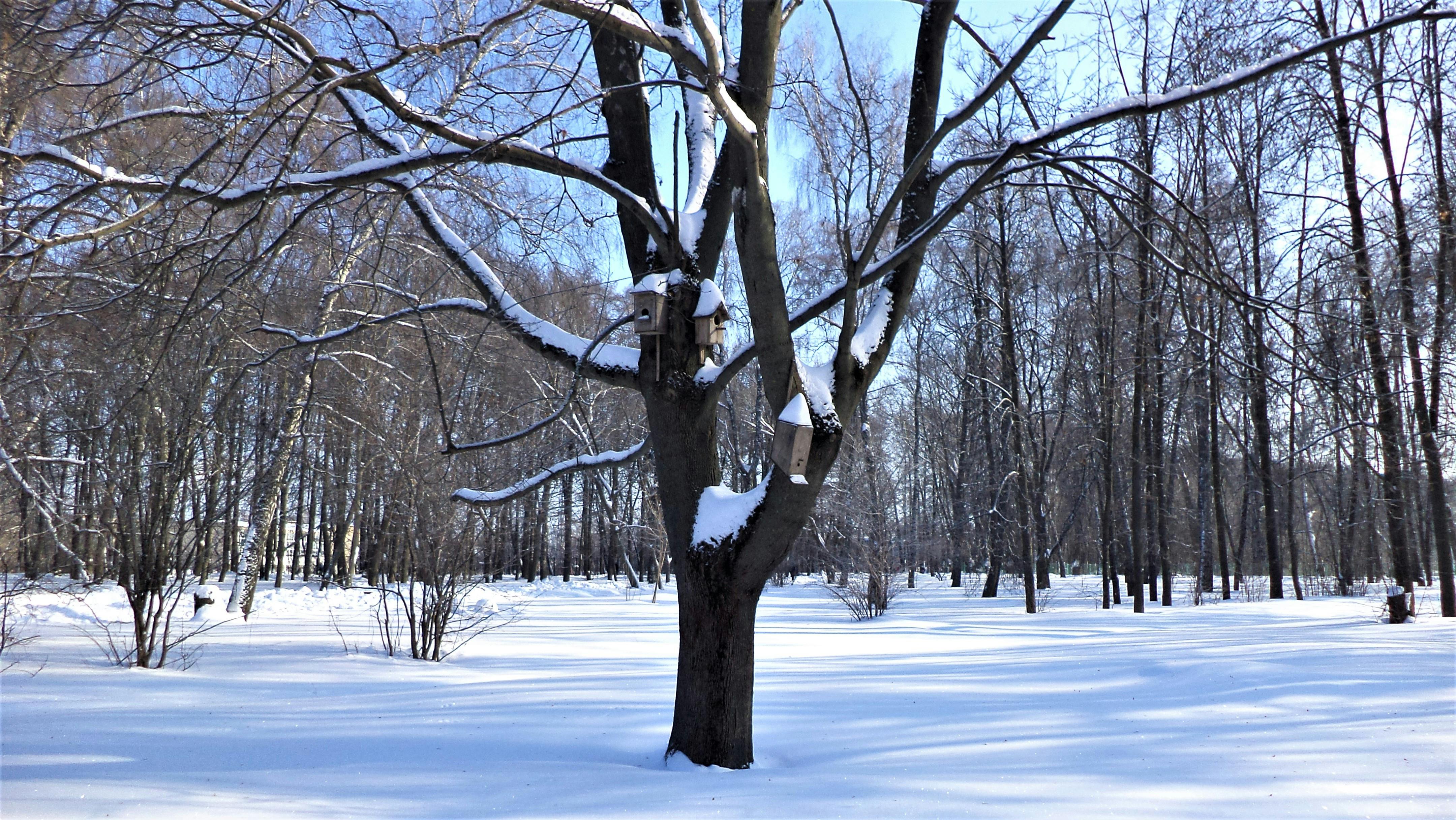 Kekalahan Finansial Trump: Kerugian Truth Social Membengkak di Tengah Badai Bisnis