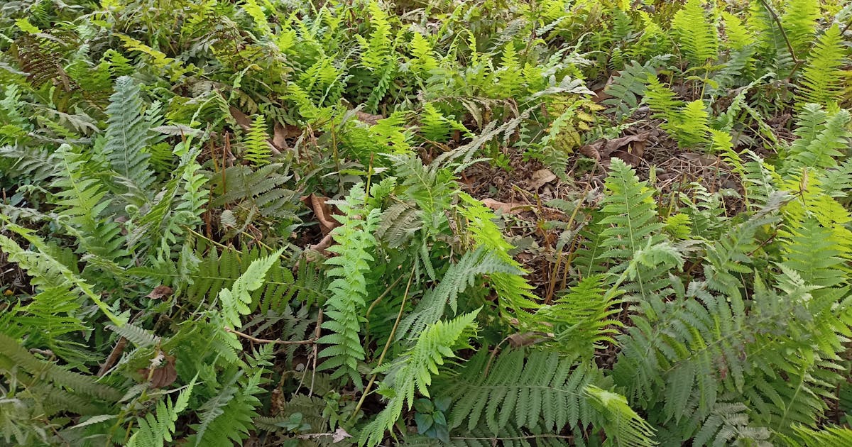 UK Budget 2023: Sektor Keuangan Buka Suara – Apa Artinya Bagi Anda?