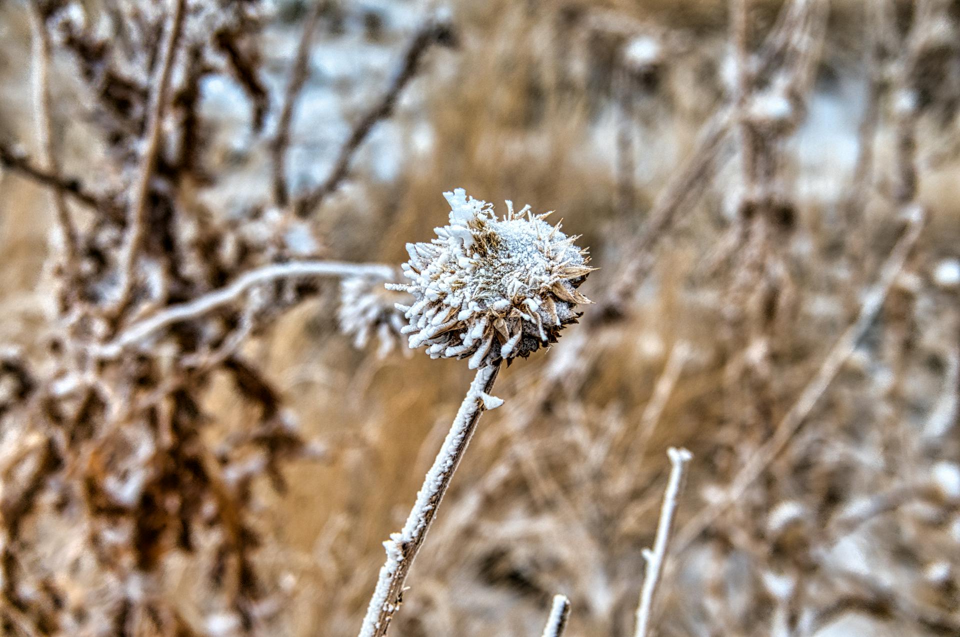 SoftBank Jual Nyaris Seluruh Saham Paytm: Akhir Sebuah Era Investasi Raksasa Teknologi?