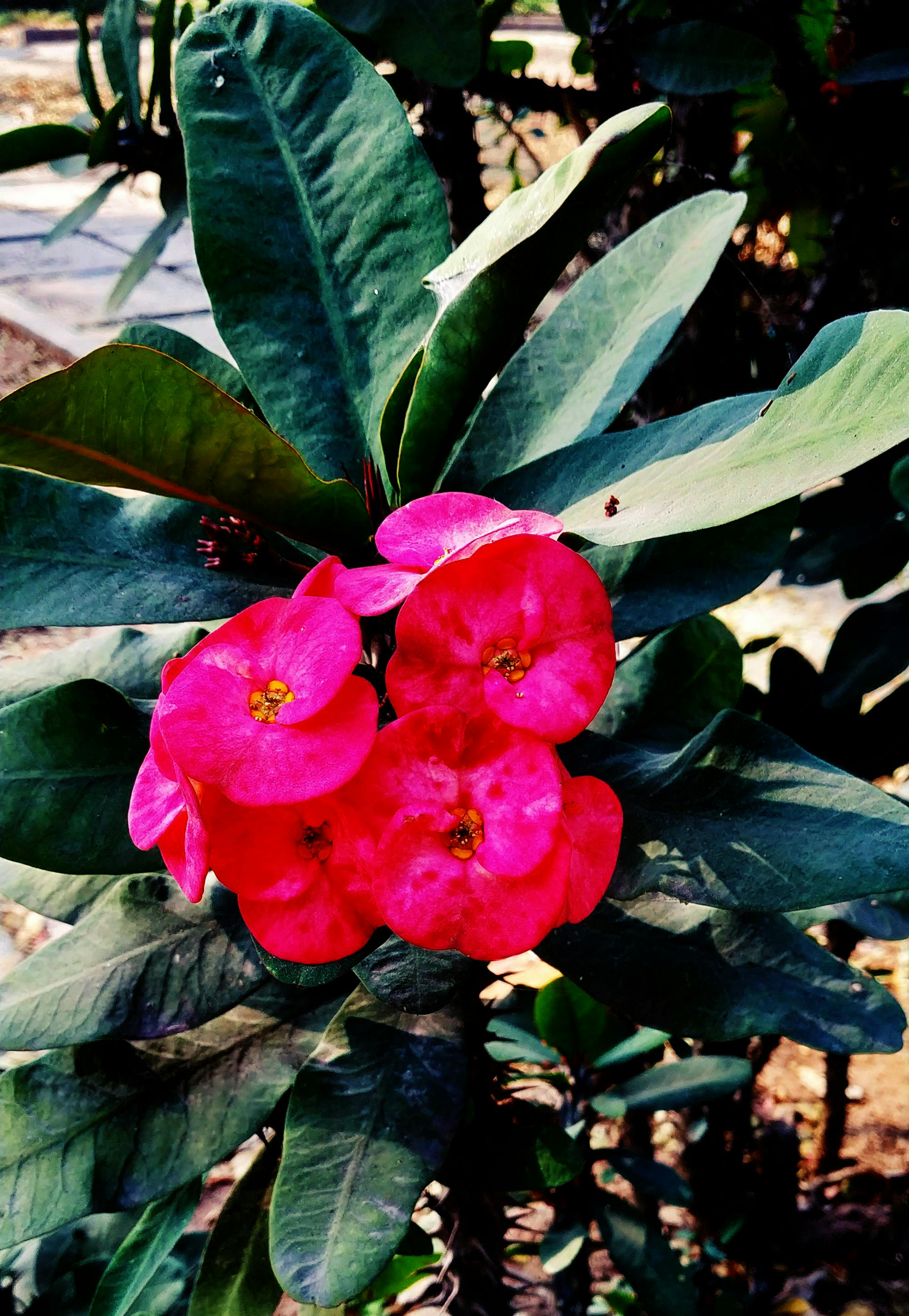 Dunia Tanpa Miliarder: Utopia Ekonomi atau Mimpi Buruk Tak Terbayangkan?