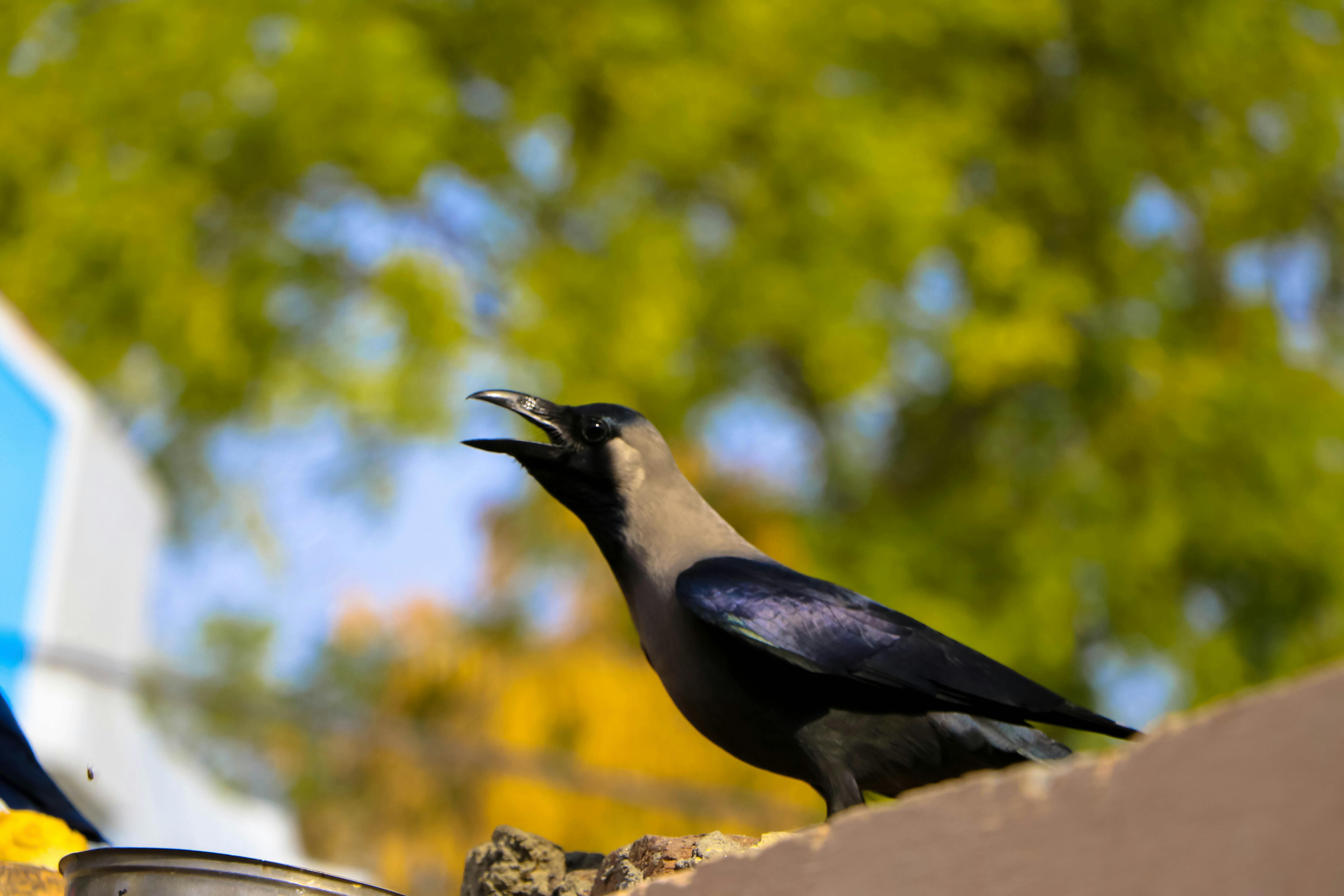 Skandal Kebocoran Data Militer Inggris: Siapa Dalangnya dan Apa Artinya Bagi Keamanan Global?