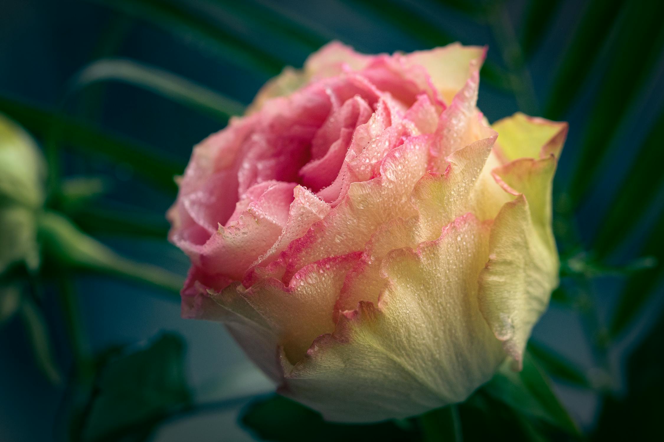 Stop Hoaks! Panduan Jitu Cerdas Bermedia Sosial & Kenali Fakta di Internet