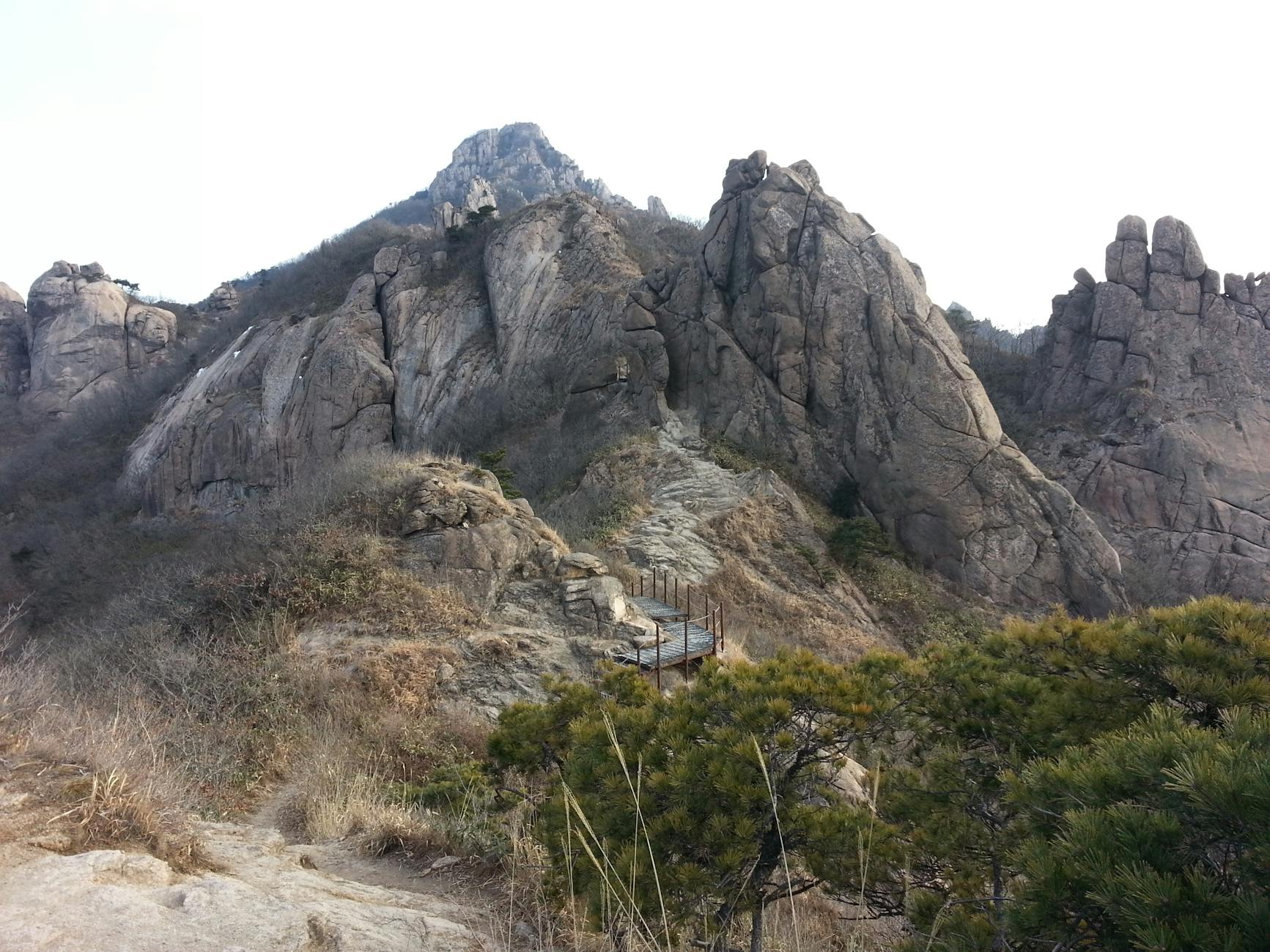 J&J Pasca-Kenvue: Mengapa Argus Research Melihat Peluang Emas di Balik Raksasa Farmasi Ini?