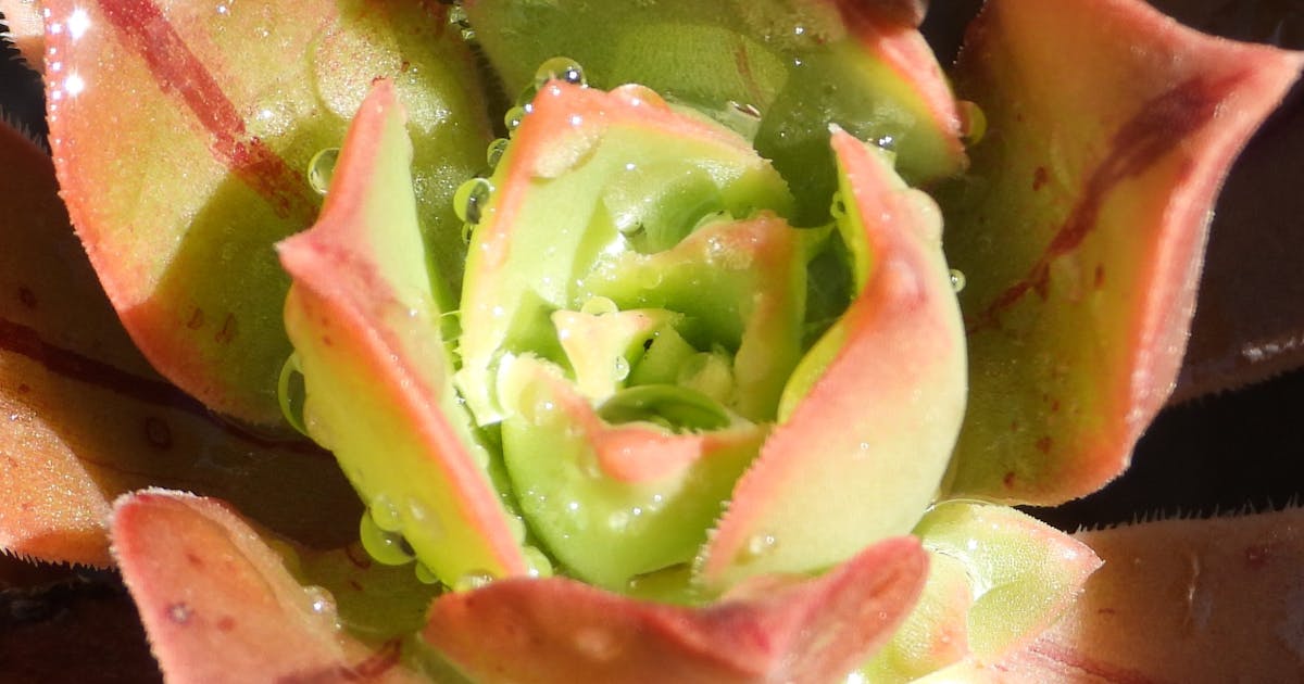 Guncangan Inflasi Mei: Pasar Keuangan Bergetar, The Fed di Persimpangan Jalan!