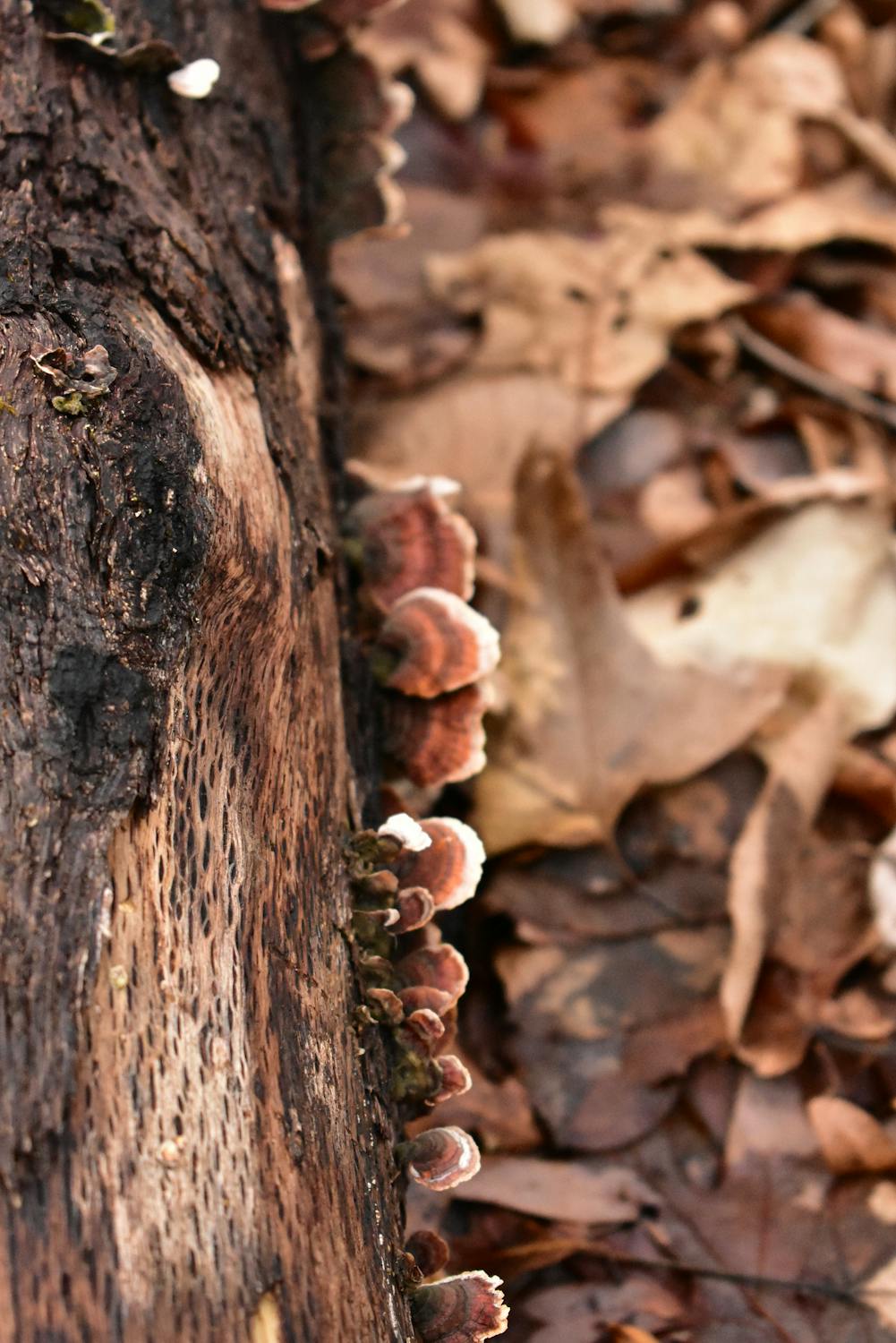 Rahasia Takdir Miliarder: Bagaimana Warren Buffett & Charlie Munger Hampir Berpapasan Jauh Sebelum Jadi Legenda Investasi