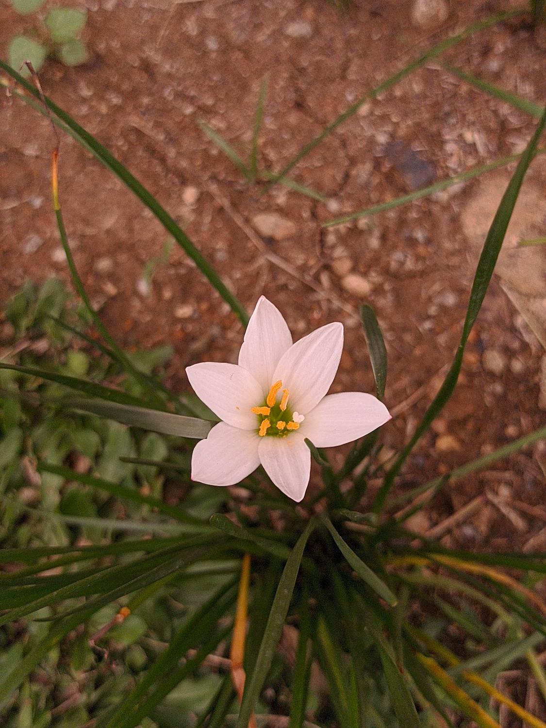 Keterwakilan Perempuan di Parlemen: Herman Khaeron Sebut "Kesempatan Sudah Sama", Benarkah Demikian?