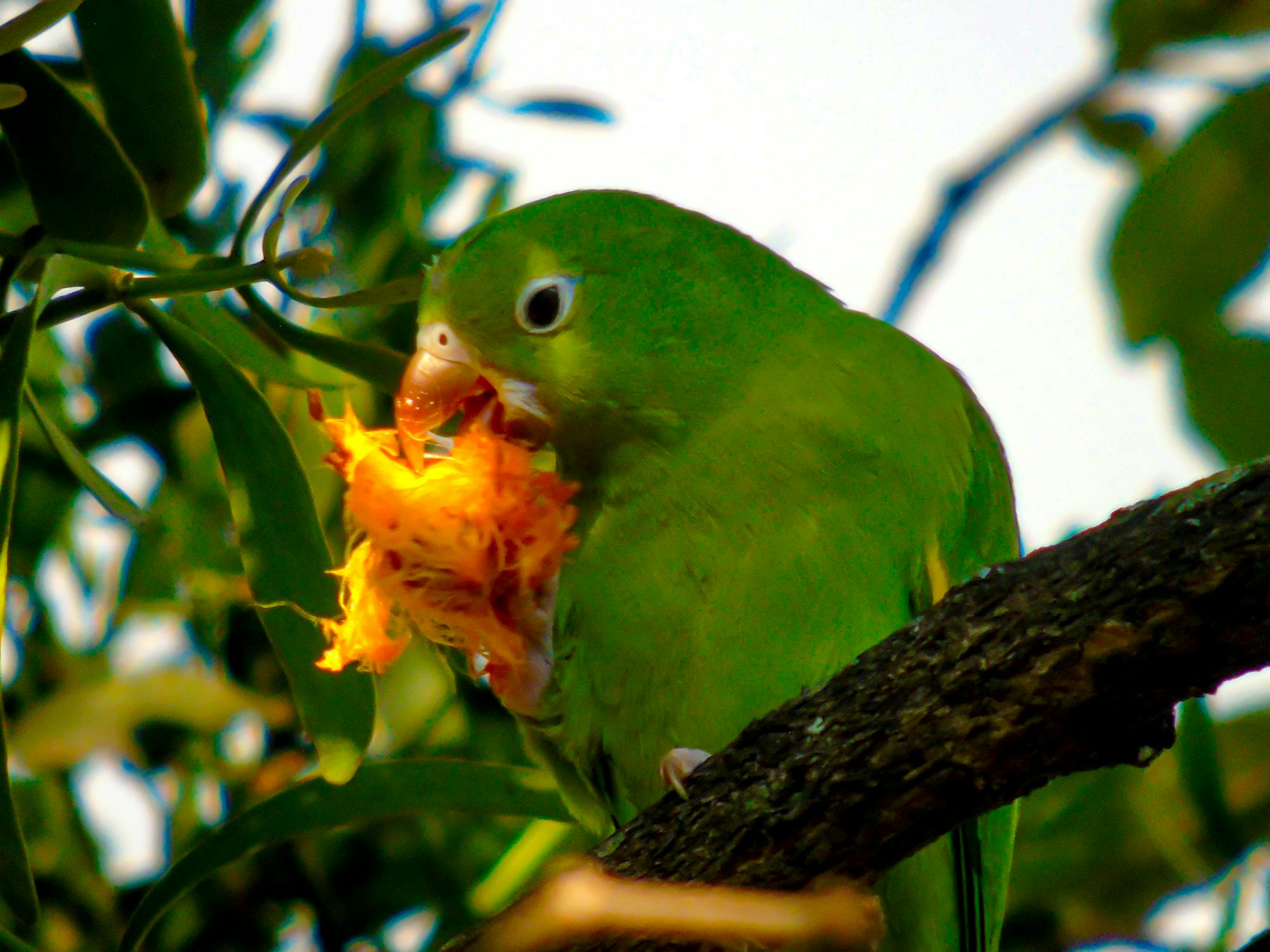Dokter Gigi Puskesmas 'Hilang' Sebelum Sore: Kemenkes Beri Klarifikasi dan Solusi, Warga Wajib Tahu!
