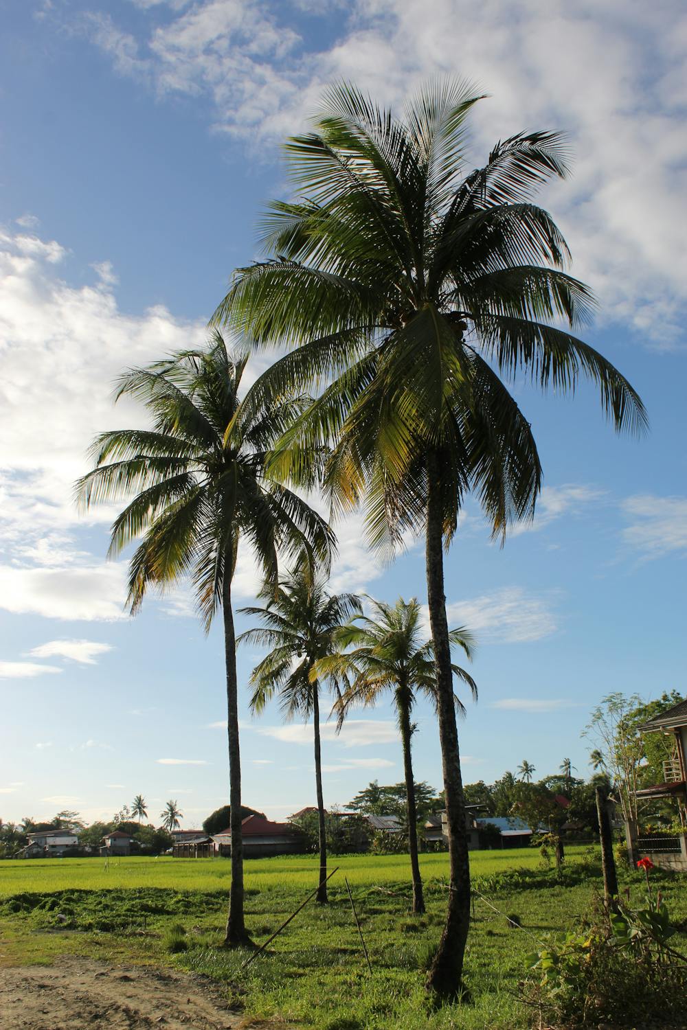 Berkilau di Era Digital: Pegadaian Sabet Penghargaan 'Best Innovation' Berkat ATM Emas yang Revolusioner!