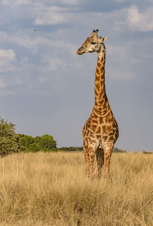 Fenomena GeeFi: Jutaan Token Ludes Terjual, Pertanda Gelombang Besar Altcoin Baru Menggila?