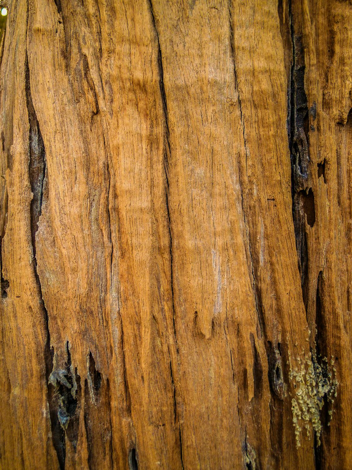 Drama Balik Akuisisi: Pendiri Unknown Worlds Siapkan "Perang" Lawan Krafton dengan Dokumen Kontroversial