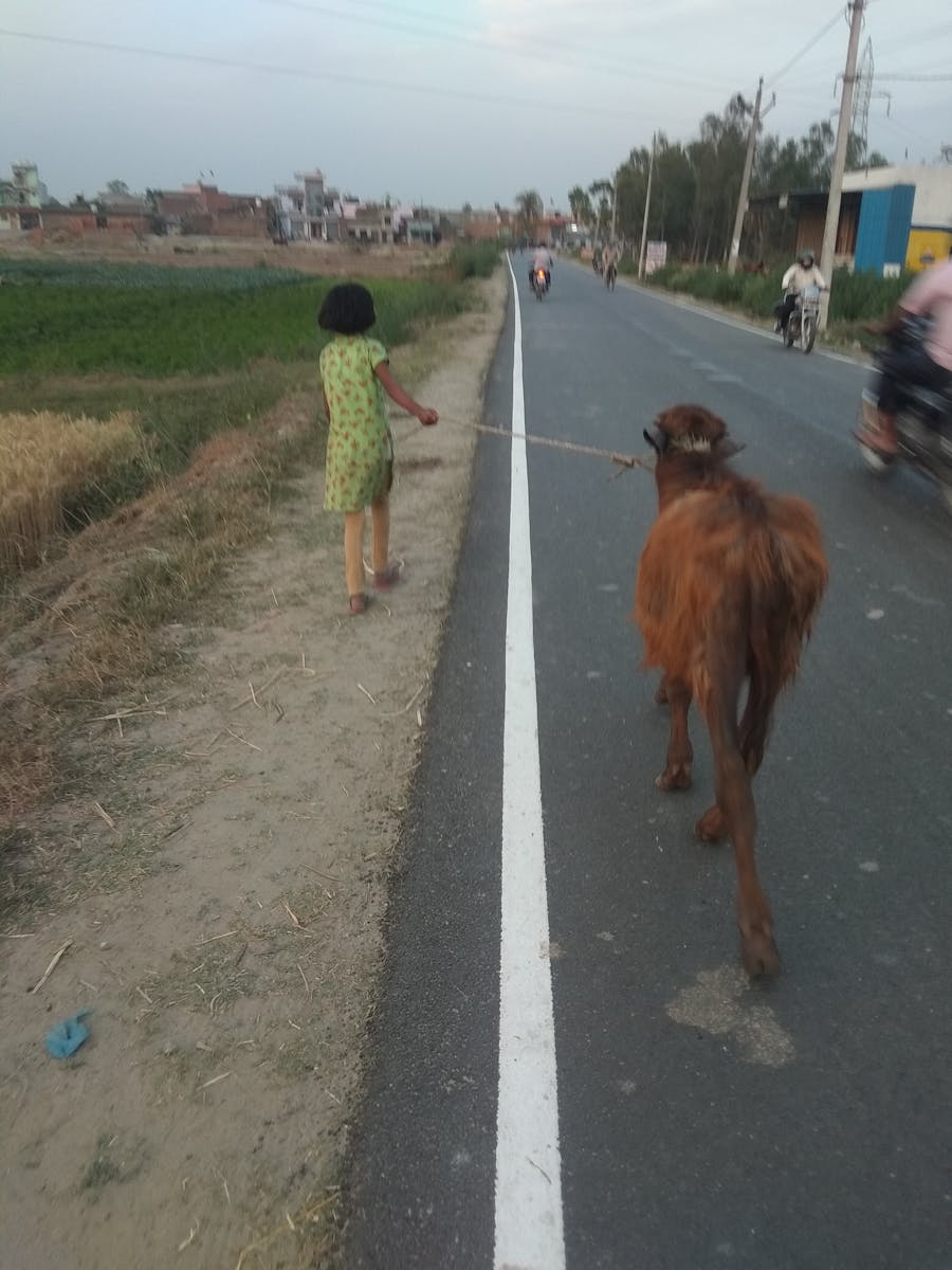 Revolusi Gaming Konsol: Kamirai Bawa Ekonomi Web3 dan Likuiditas ke Pasar Asia dengan DEX Canggihnya!