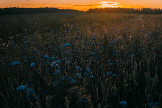 Geger Pasar Keuangan: Ida Liu, Bintang Eks Citi, Resmi Pimpin Divisi Private Bank Global HSBC!