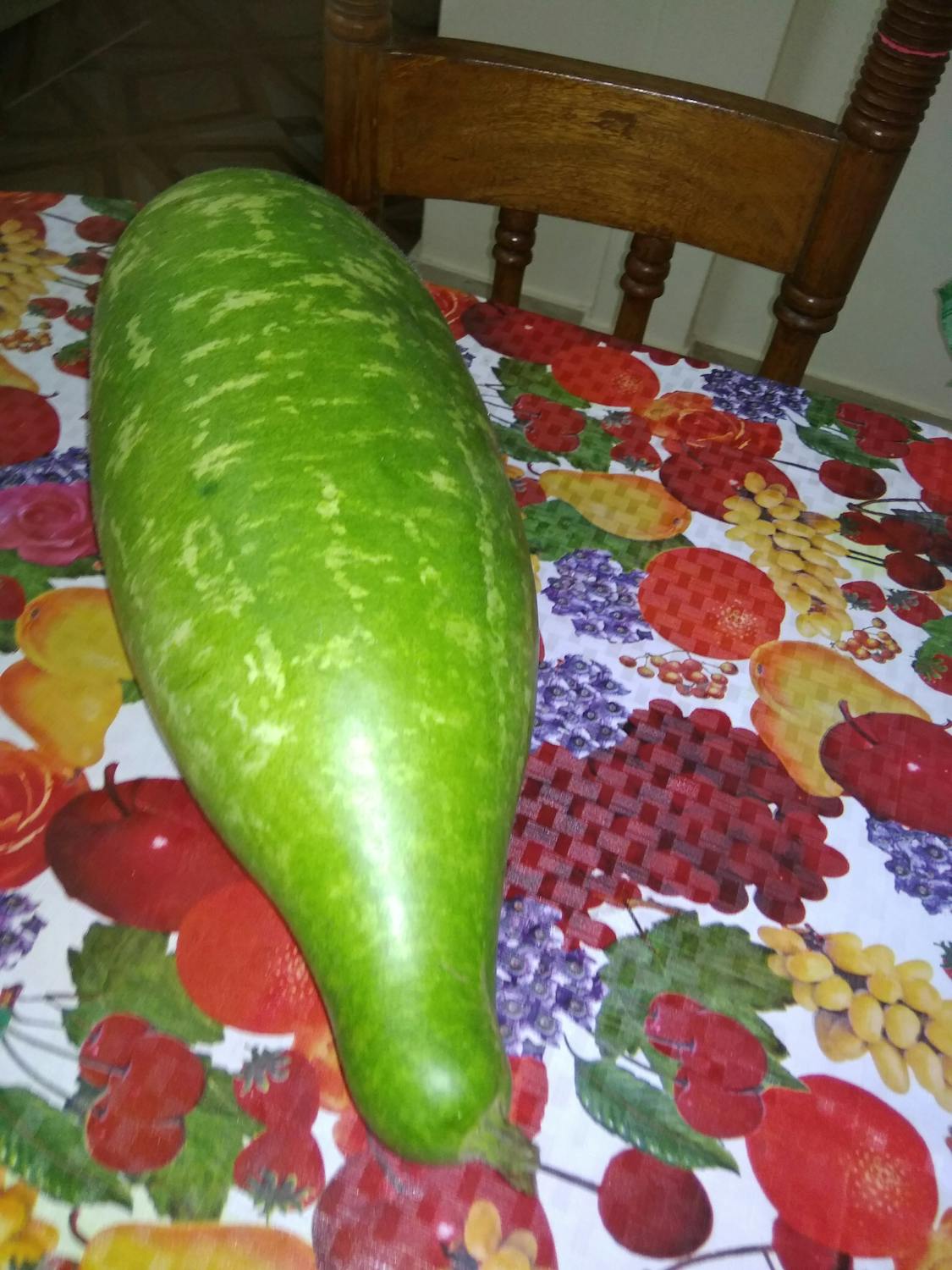 Gebrak Meja! Projo: Tolak Jadi Relawan 'Asal Bapak Senang', Siap Kritis Walau Pahit?