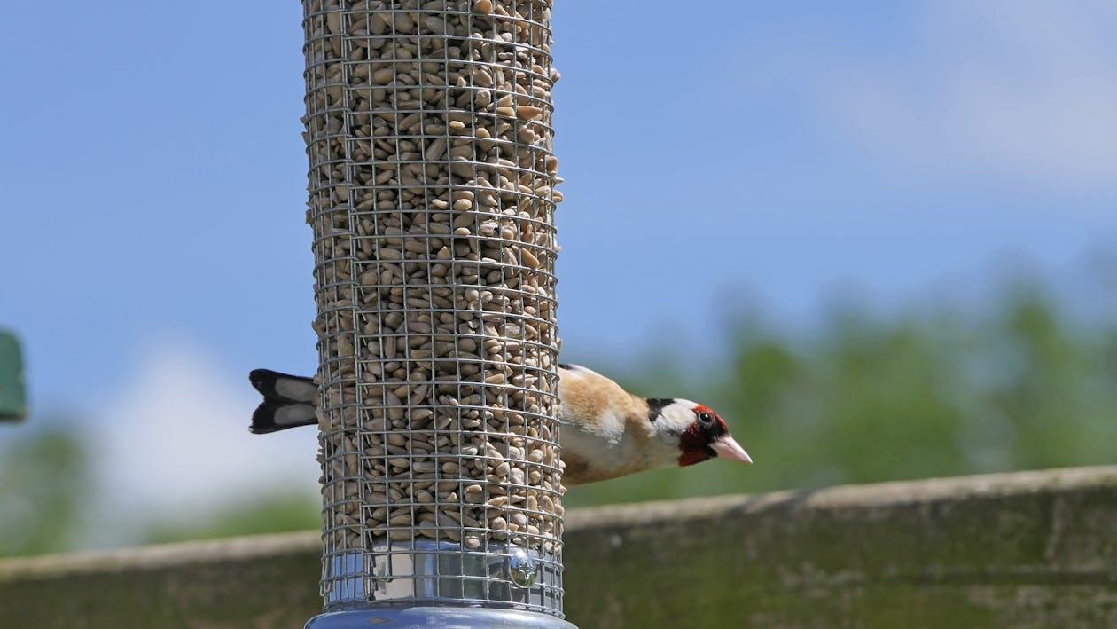 Lebih Dari Sekadar Angka: Hampir 1 Juta Jiwa Mengungsi Akibat Banjir Sumatera, Aceh Paling Terdampak