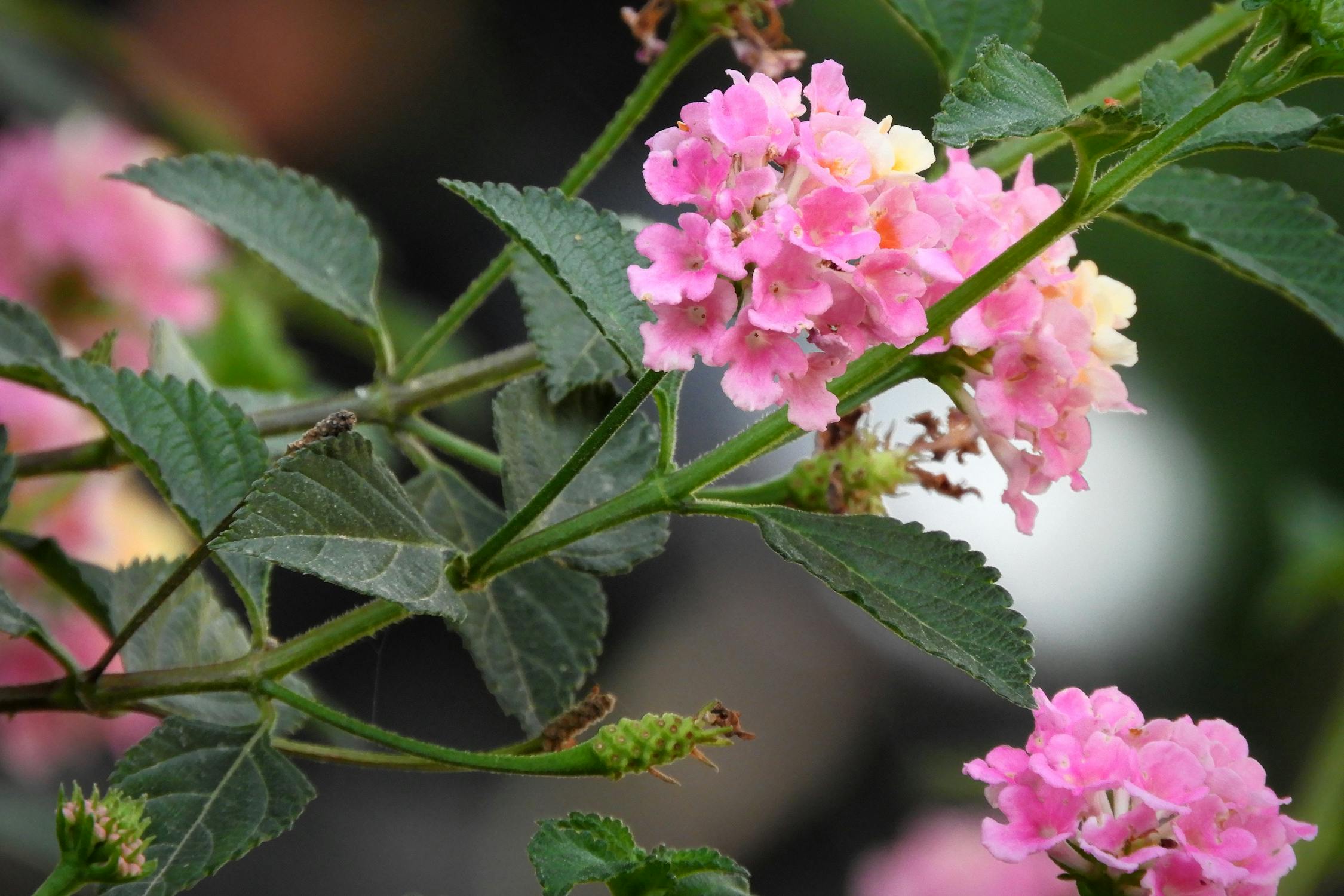 Bitcoin Terjun Bebas 20%: Apakah Ini Awal dari Musim Dingin Kripto yang Menyakitkan?