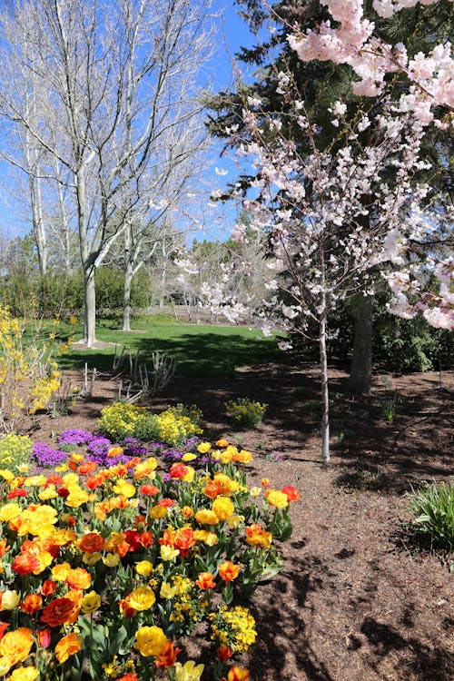 Bukan Lagi Keringat, Ini Rahasia Kebangkitan Inovasi China: Dari Pabrik Dunia Menuju Pusat Ide!