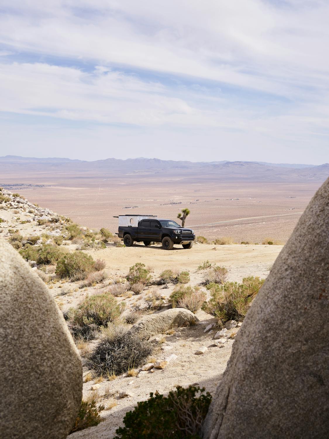 Ganja Medis Australia: Mengurai Benang Kusut Kebijakan yang Menjadi Bola Panas Politik