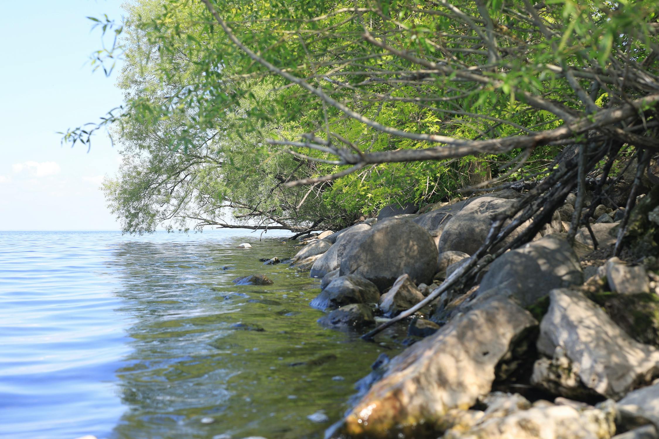 Era Baru AI: Mungkinkah Inggris dan China Bersatu untuk Menyelamatkan Masa Depan Manusia?