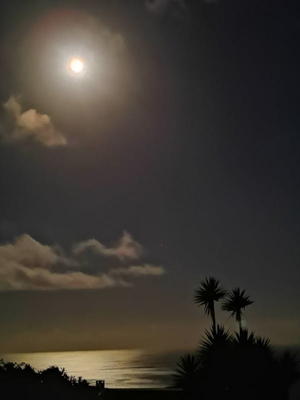 Revolusi Hidrasi di POPNAS 2025: SanQua Siap Antar Ribuan Atlet Raih Performa Puncak