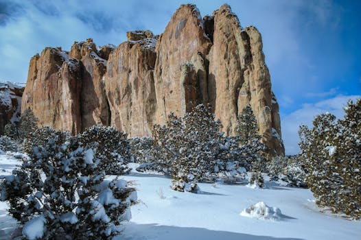 Lebih dari Sekadar Tenda: IDAI Dorong Ruang Ramah Ibu & Anak, Benteng Terdepan Kesehatan di Posko Bencana
