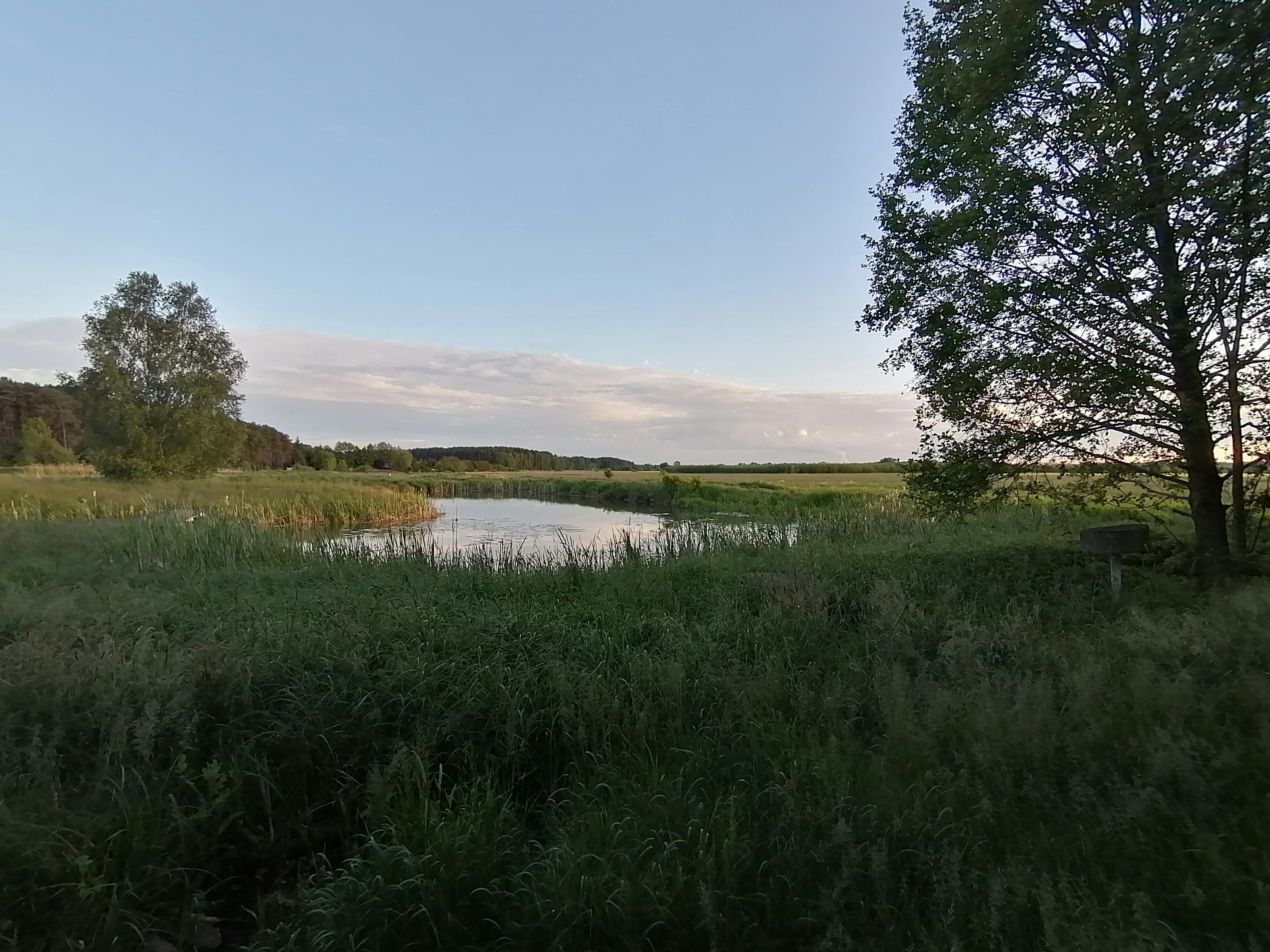 Osun Bergejolak: Dana Lokal Terganjal Putusan Mahkamah Agung, Siapa yang Benar?