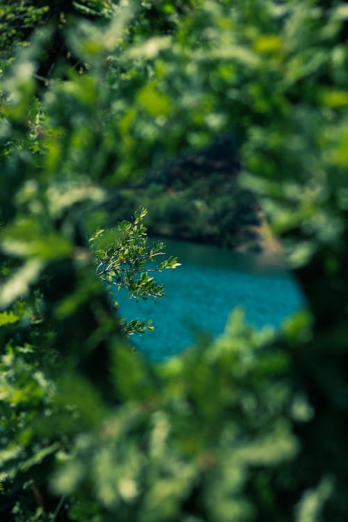 WantToCry Ransomware: Jangan Sampai Data Anda Ikut Menangis! Kenali, Lindungi, dan Atasi Ancaman Siber Ini