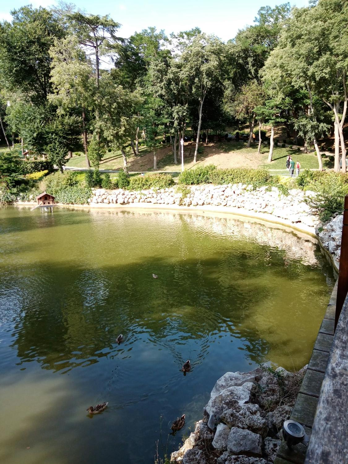 Komitmen Tanpa Henti: Gus Ipul Pastikan Program MBG untuk Lansia dan Disabilitas Berjalan "Tanpa Libur"!