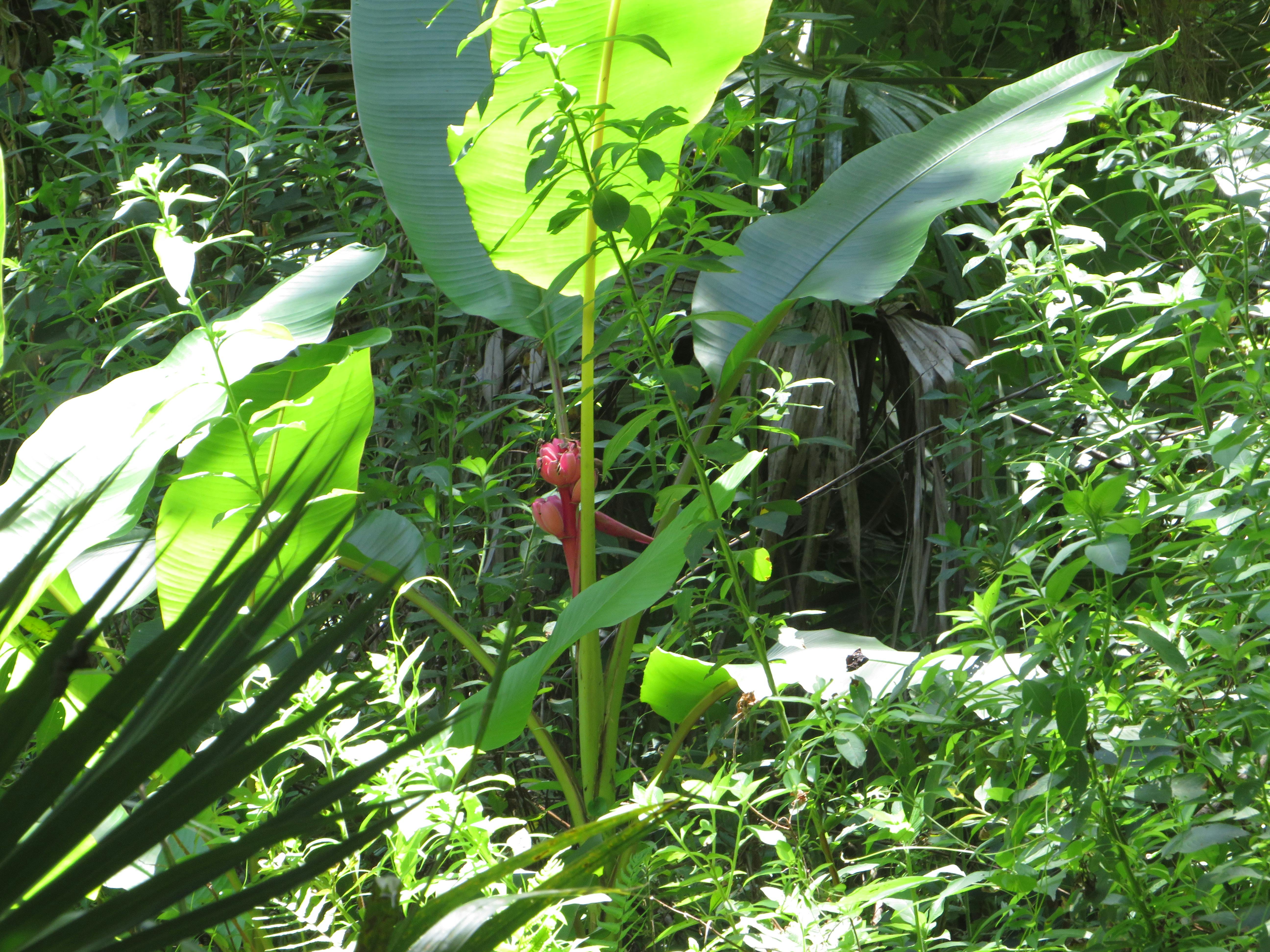 Mengapa Hanya Sedikit Wanita Bergelar Pahlawan Nasional? Komnas Perempuan Menyoroti Kesenjangan Sejarah Ini!