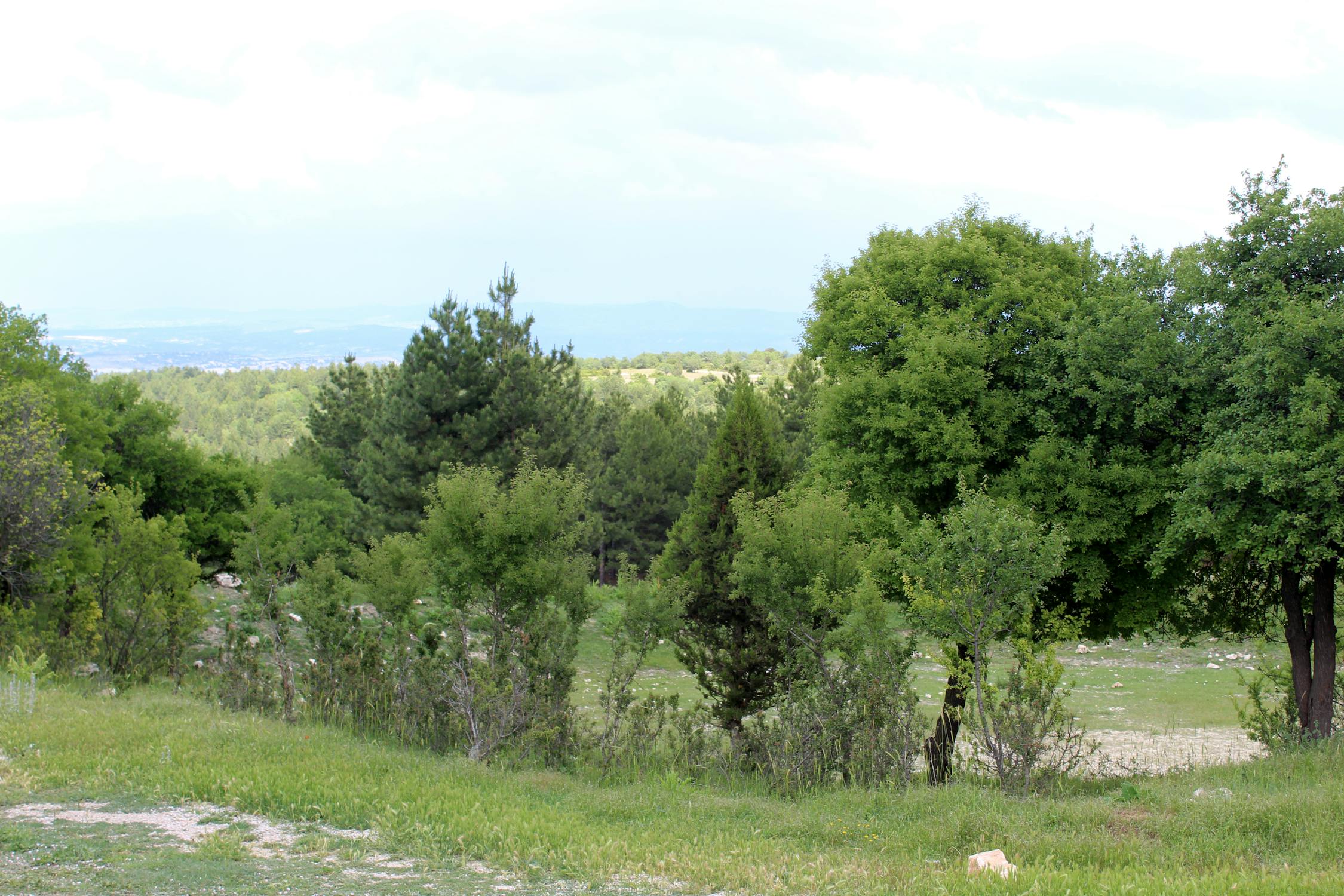 RWA Revolution: Bagaimana Figment & OpenTrade Mengubah Pengembalian Stablecoin Institusional