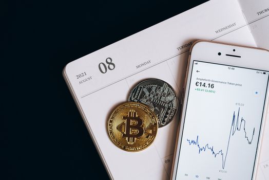 Article