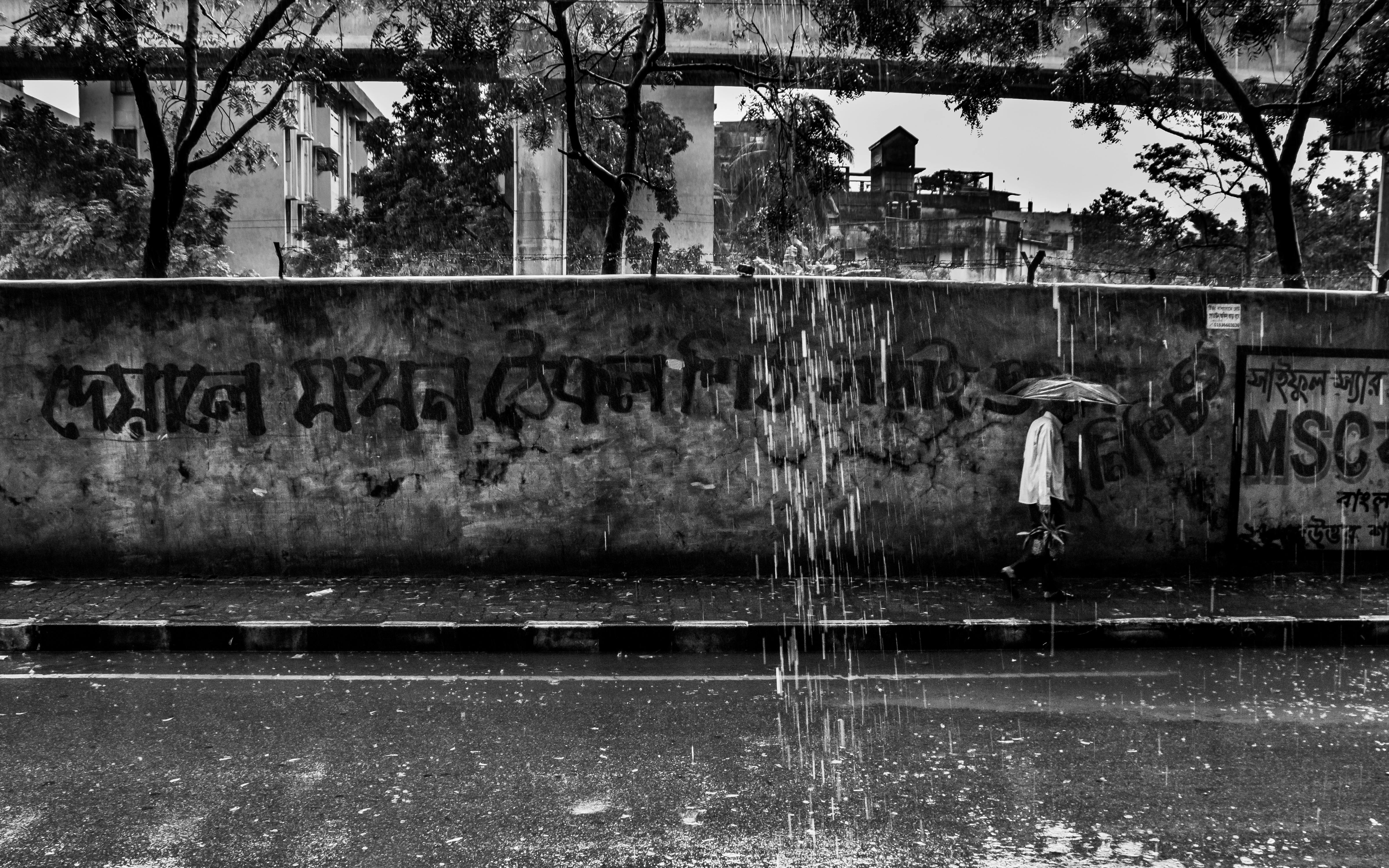 Paus Bitcoin Berpesta di Kala Harga Turun: Sinyal Bullish Tersembunyi di Tahun 2024?