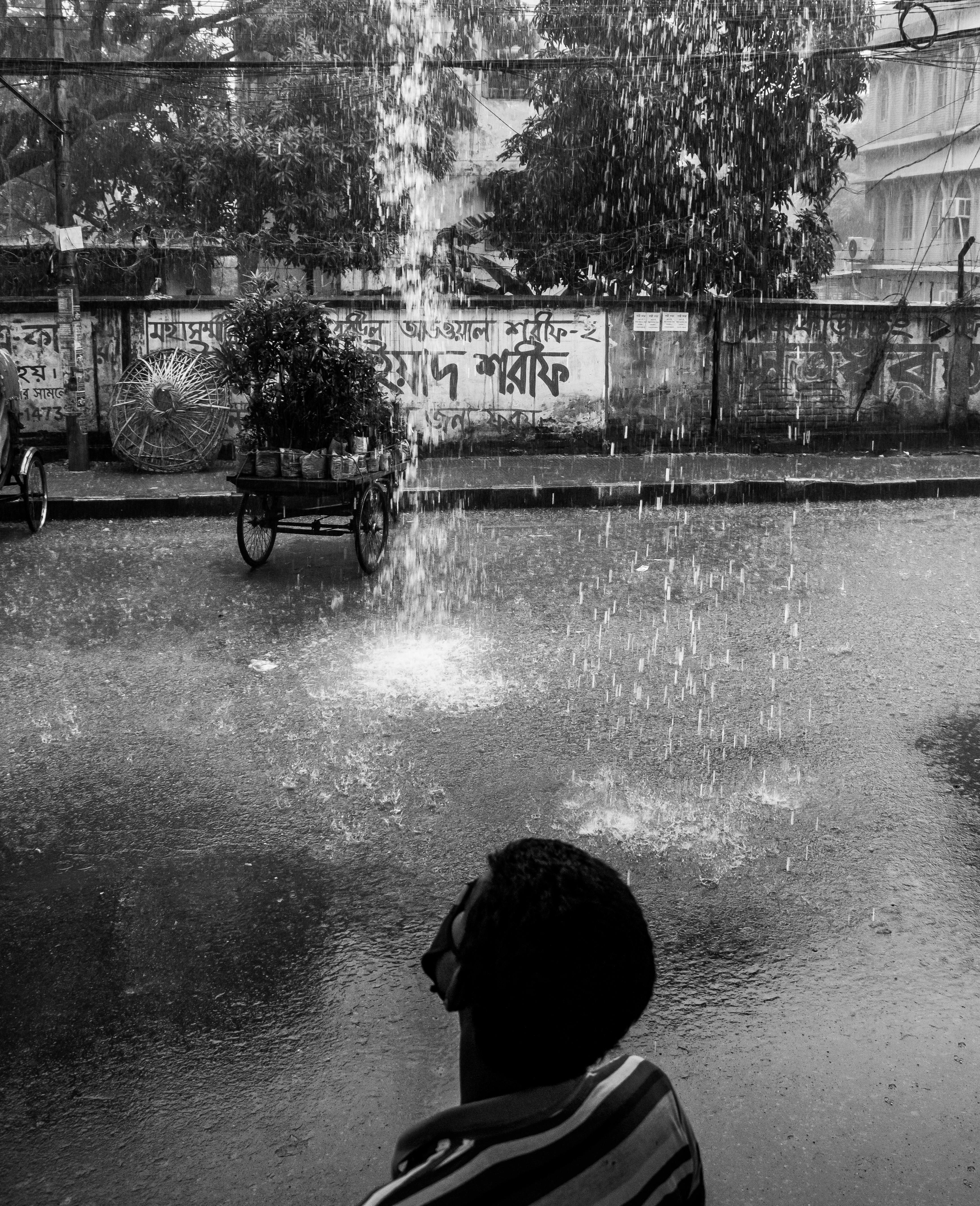 GeeFi Gee (GEEG) Mengguncang Pasar: Apakah Ini Pesaing Baru Saat Avalanche (AVAX) Terjebak Stagnasi?