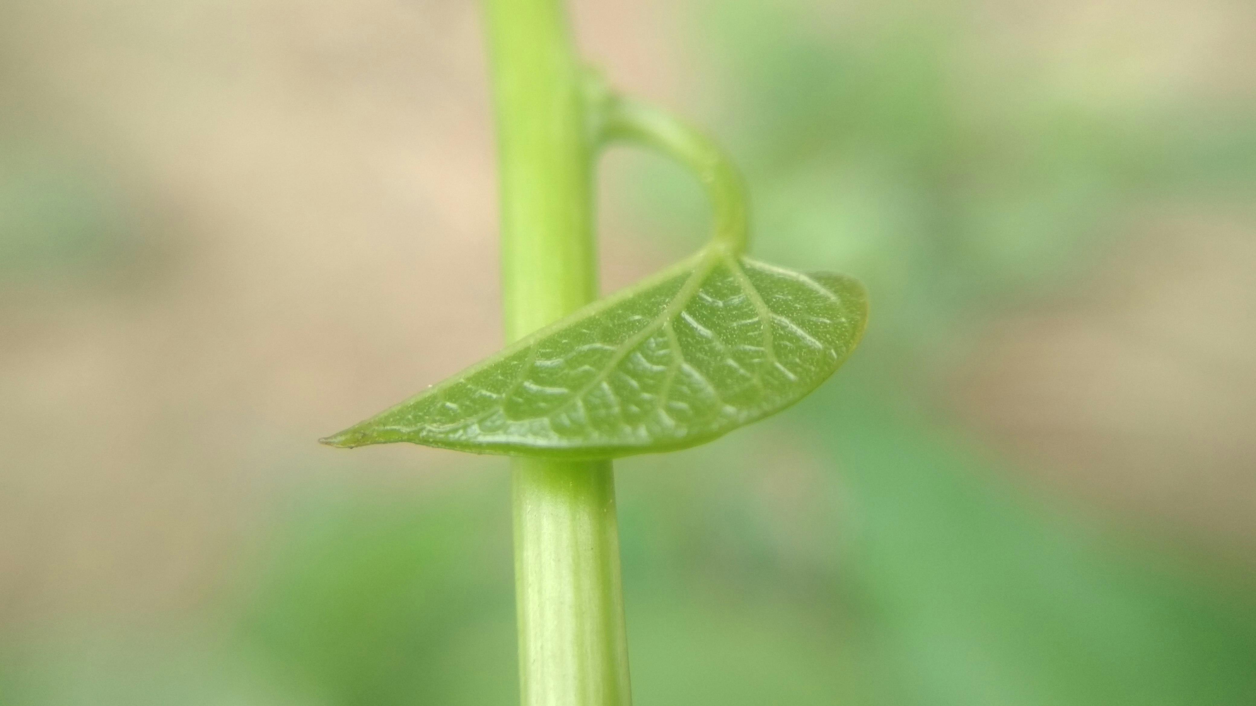 Harapan Baru 3.000 Pekerja Rentan: Ketika BPJS Ketenagakerjaan Menjadi Pelindung Nyata!
