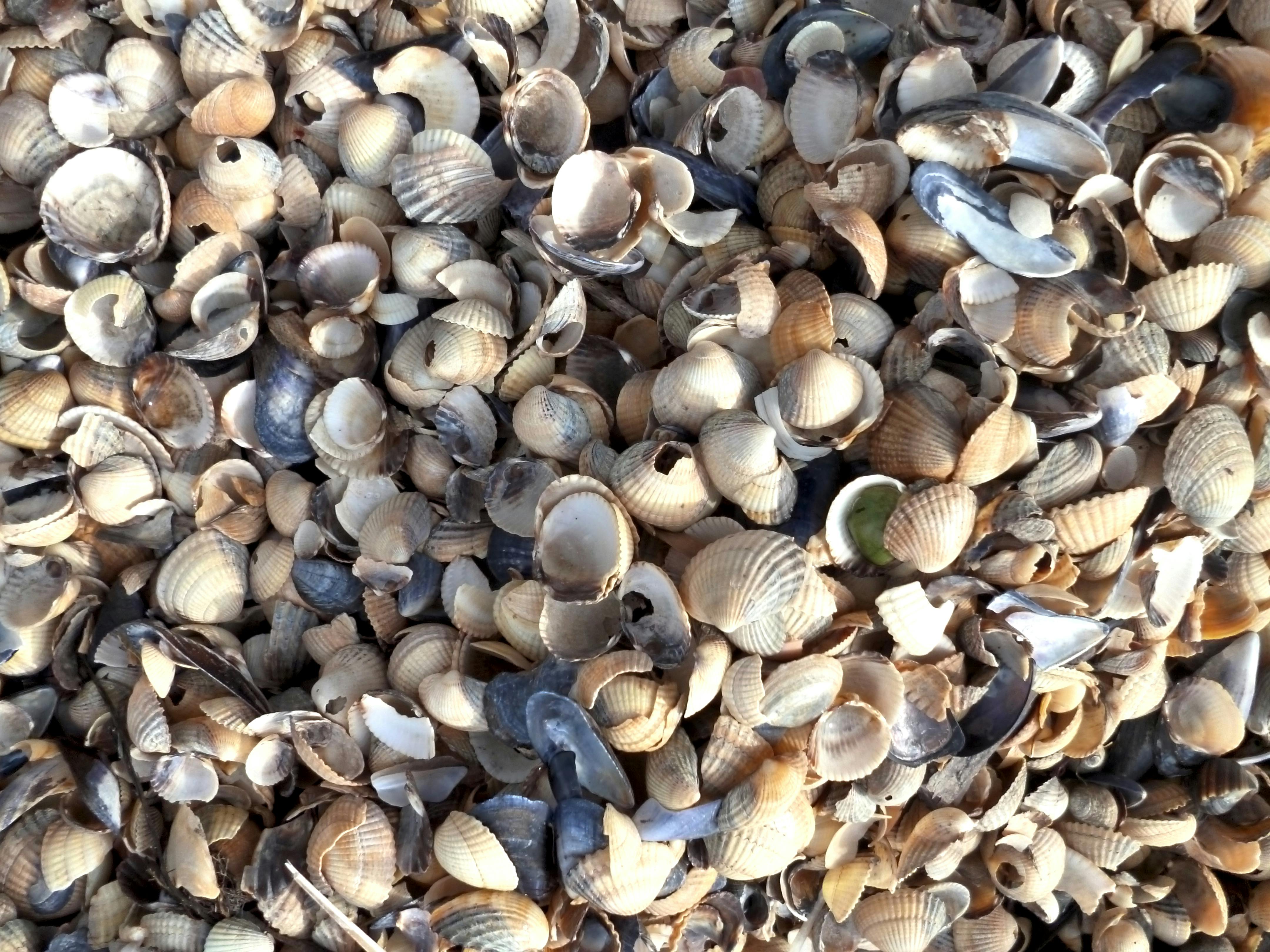 Menguak Strategi 'Perfect Crypto Trade' ala CZ: Mitos atau Kunci Sukses Investasi Kripto?