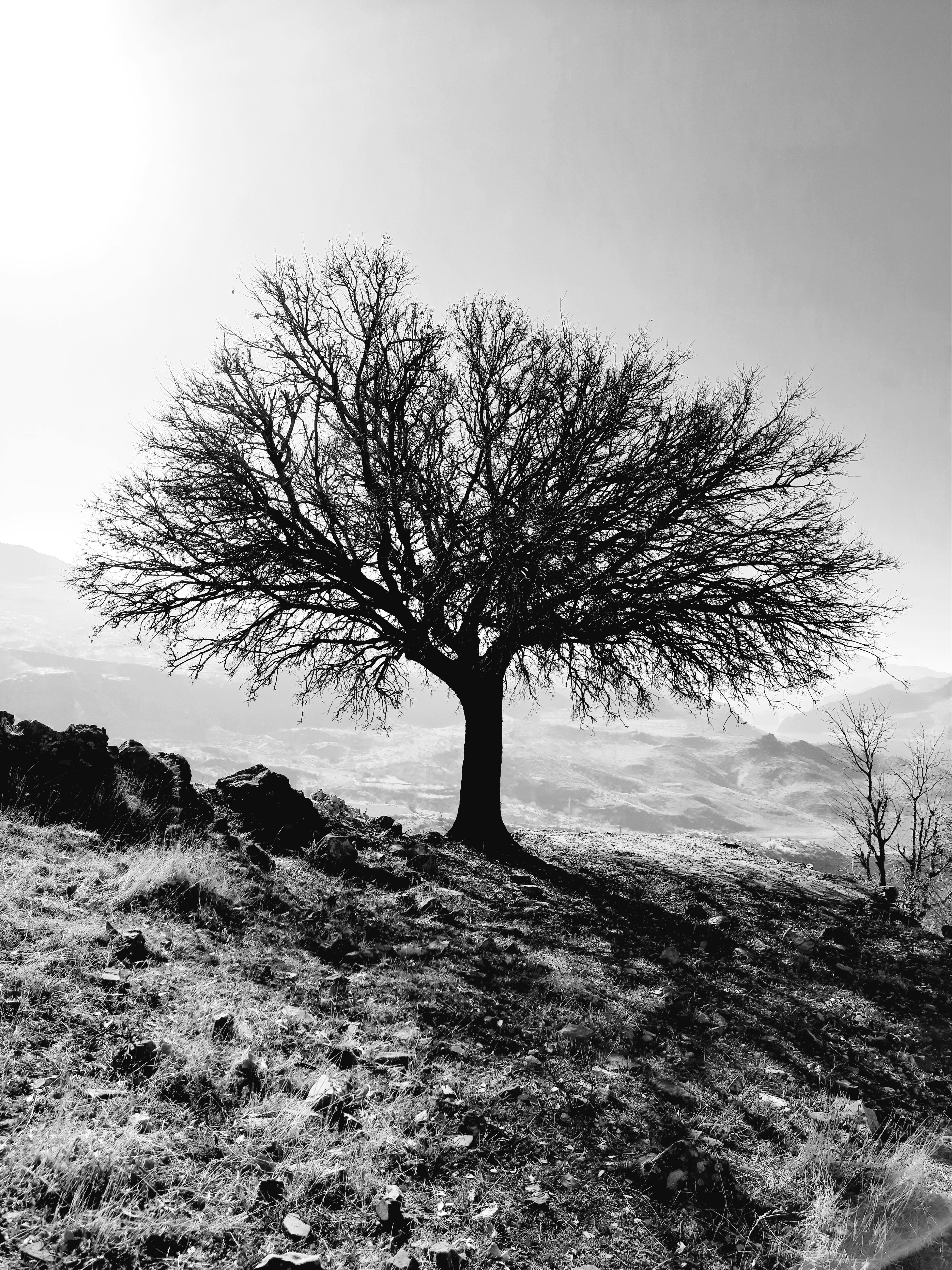 Gelombang Institusi Menghantam Bitcoin: Prediksi Harga dan Rahasia di Balik Lonjakan Berikutnya!