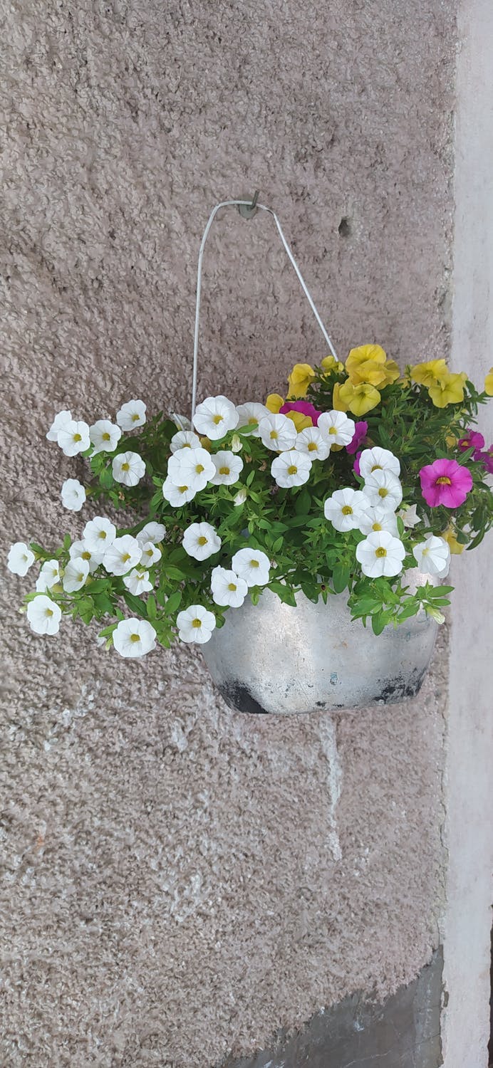 Menggemparkan! Bank of America Pernah Rekomendasikan 4% Alokasi Kripto: Titik Balik Sejarah Keuangan?