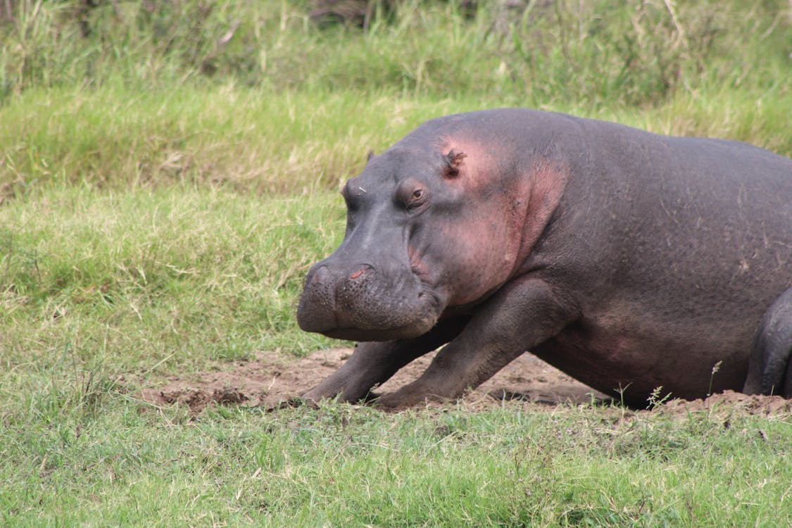 Geger Dunia Kripto! Bitcoin Terjun Bebas di Bawah $90.000, Apa yang Harus Investor Lakukan?