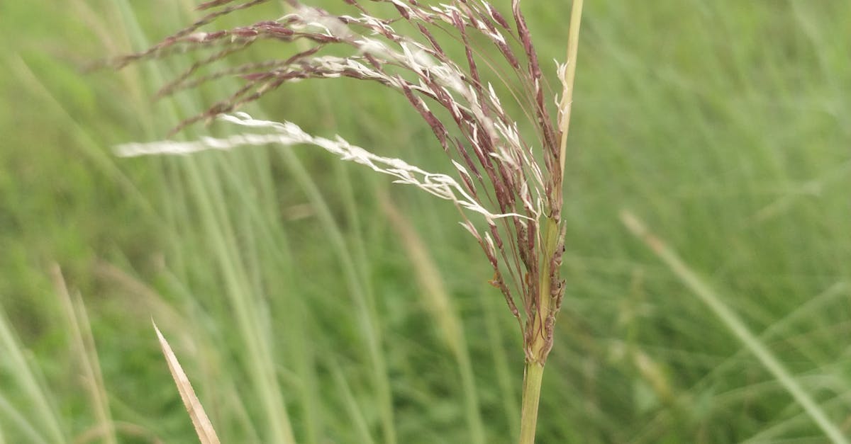 Presiden Finlandia Stubb: Gencatan Senjata Ukraina Adalah "Jebakan" Rusia, Ini Alasannya!