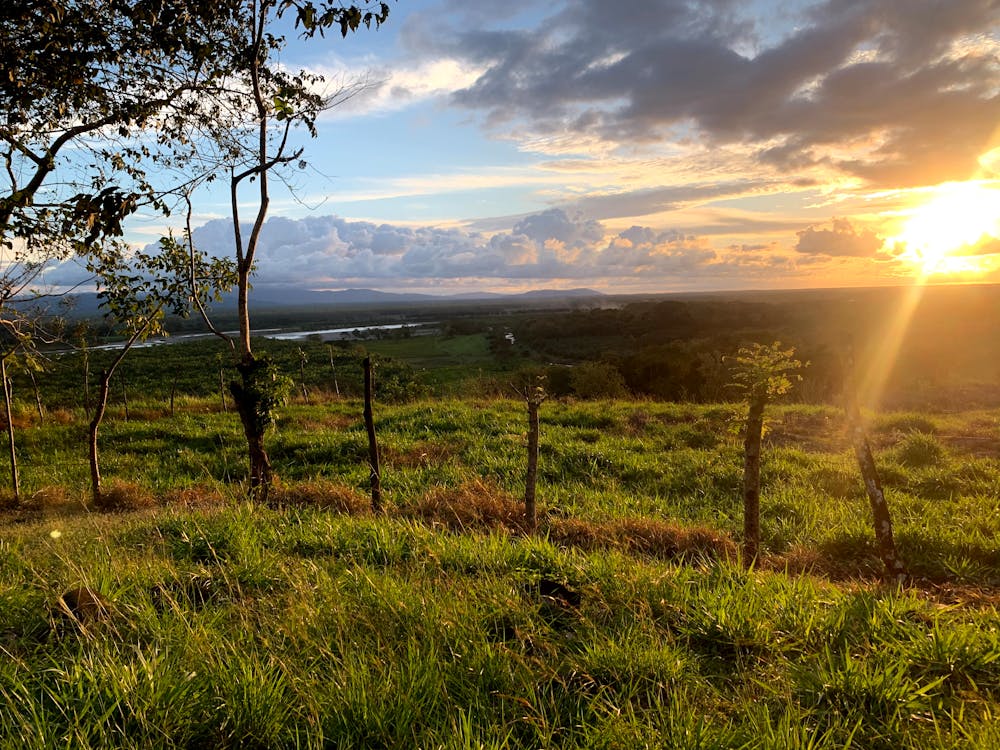 Nebraska Football: Saatnya Lepaskan Beban Masa Lalu dan Nikmati Perjalanan Baru!